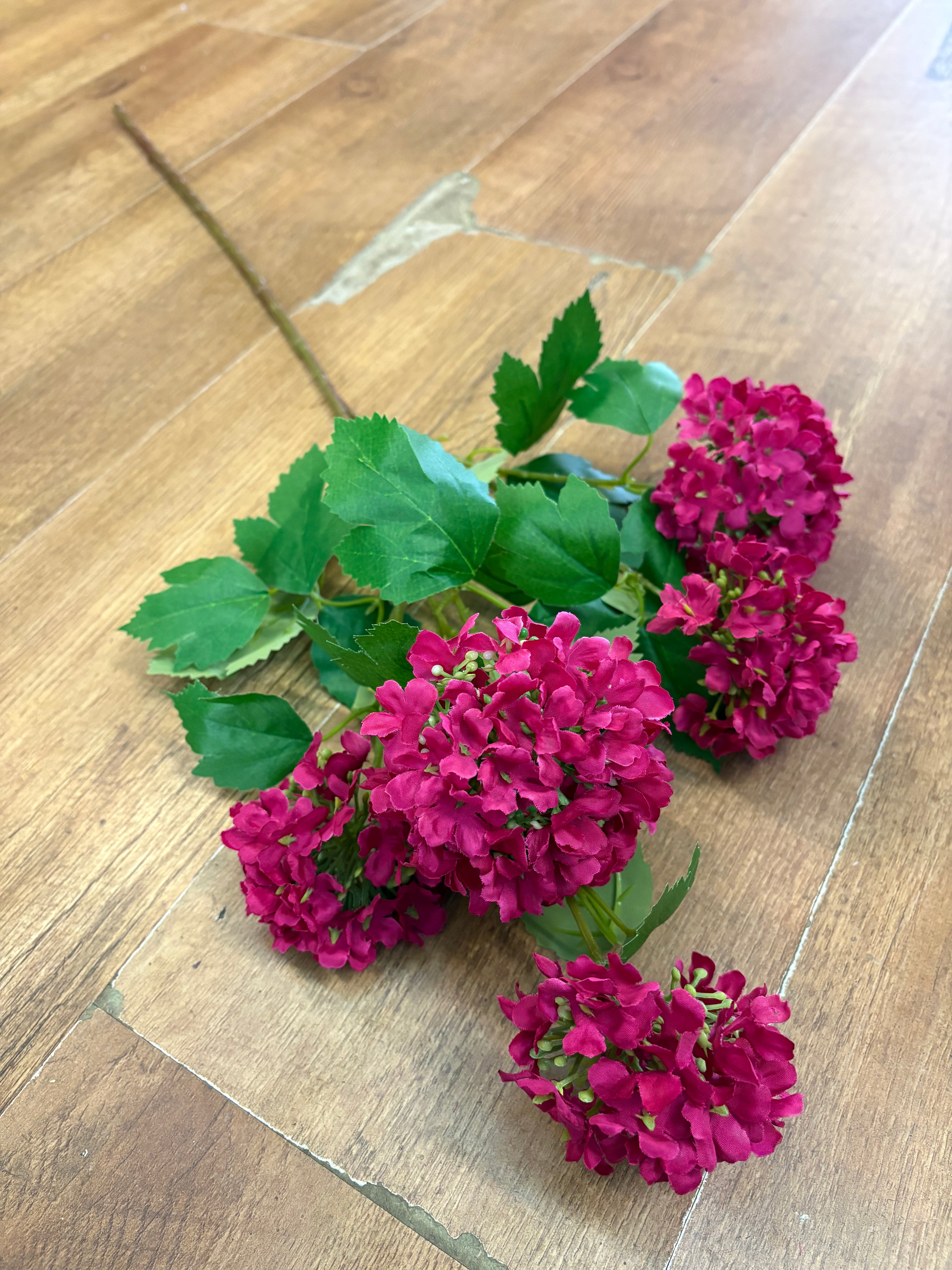 Tall stem hot pink kalanchoe geranium spray