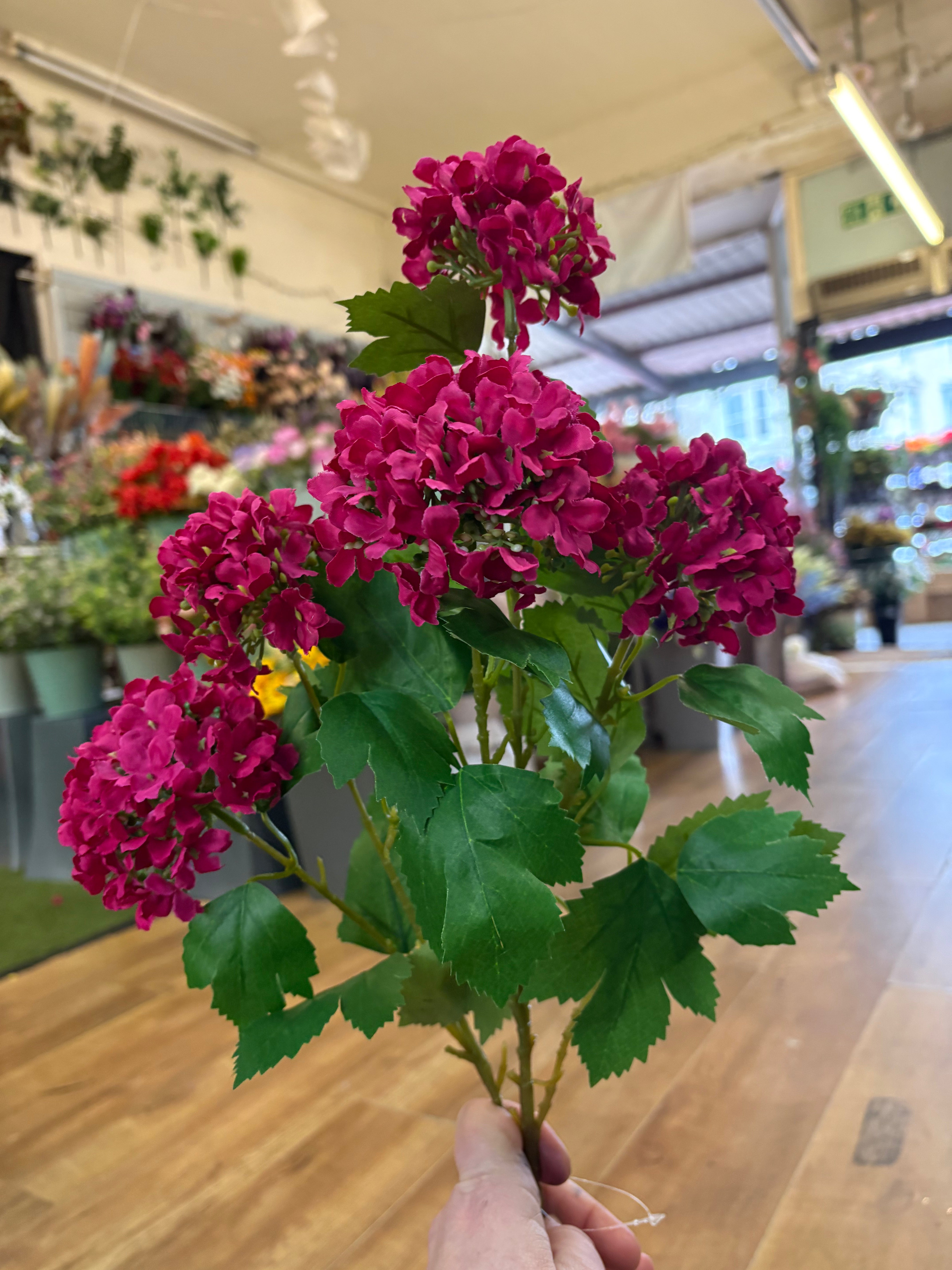 Tall stem hot pink kalanchoe geranium spray