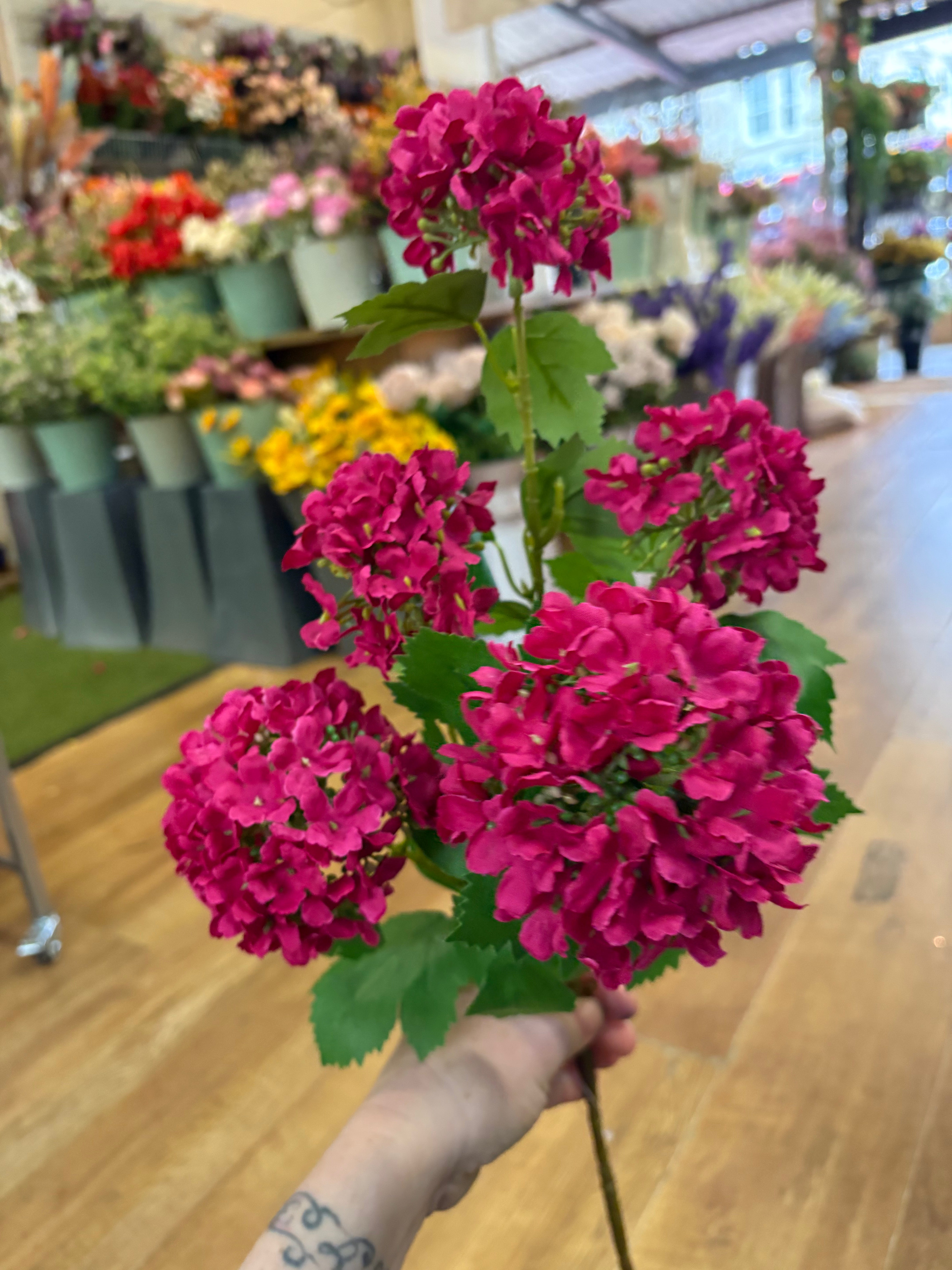 Tall stem hot pink kalanchoe geranium spray