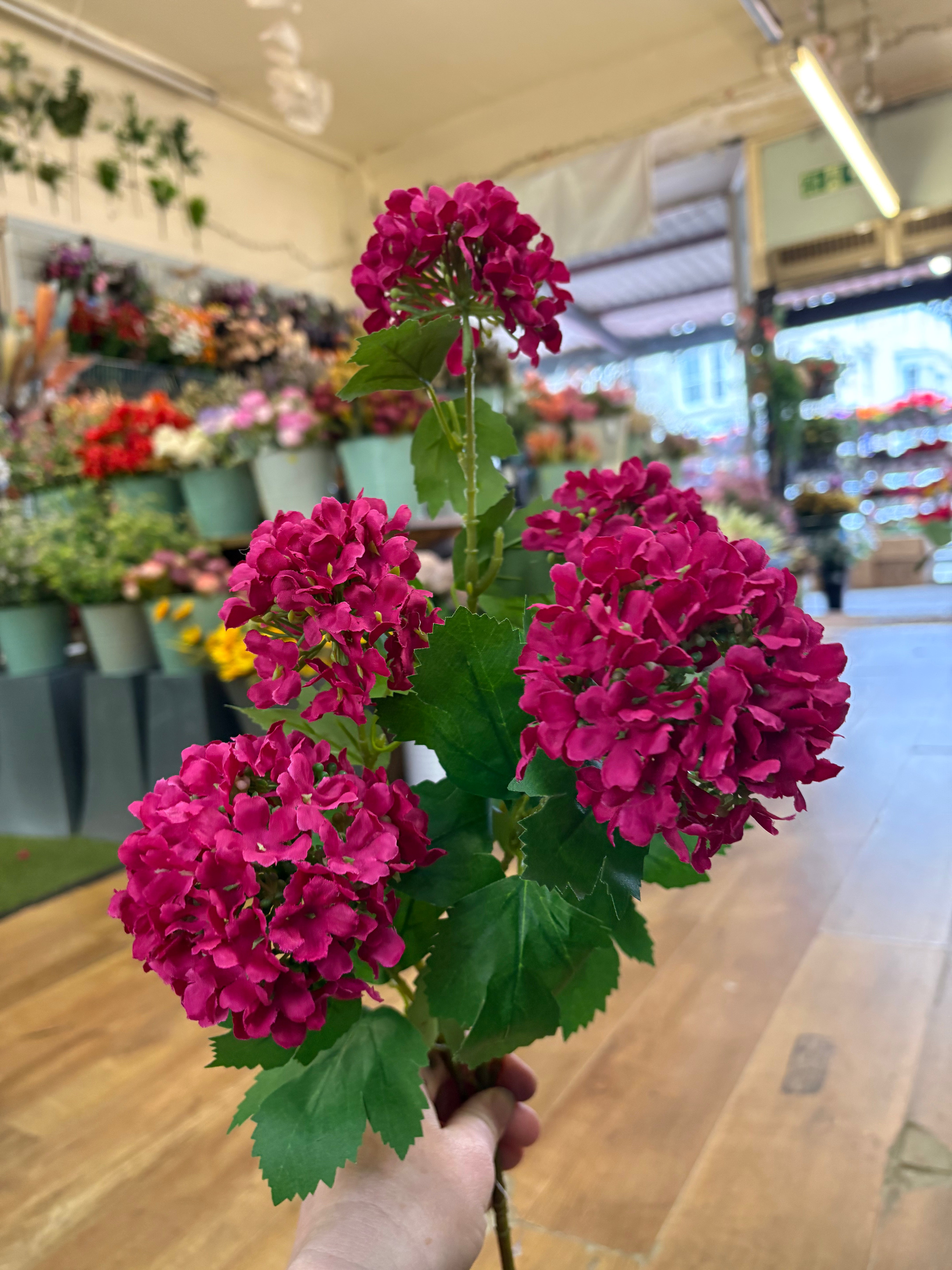 Tall stem hot pink kalanchoe geranium spray