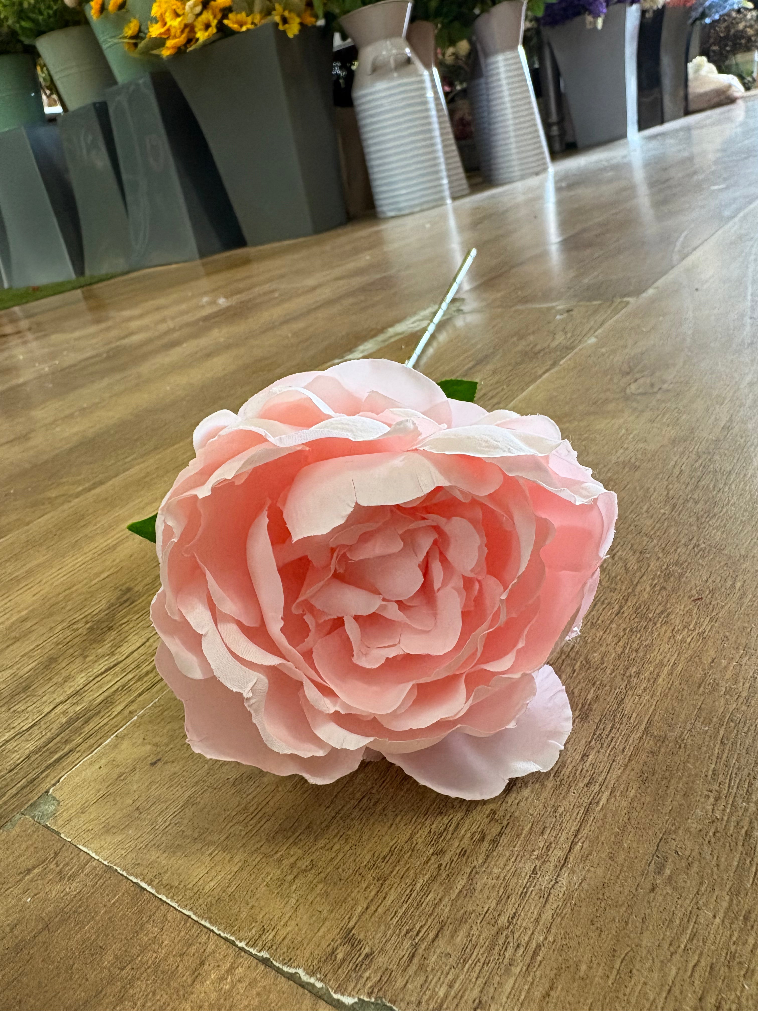 Pink Lola peony stem