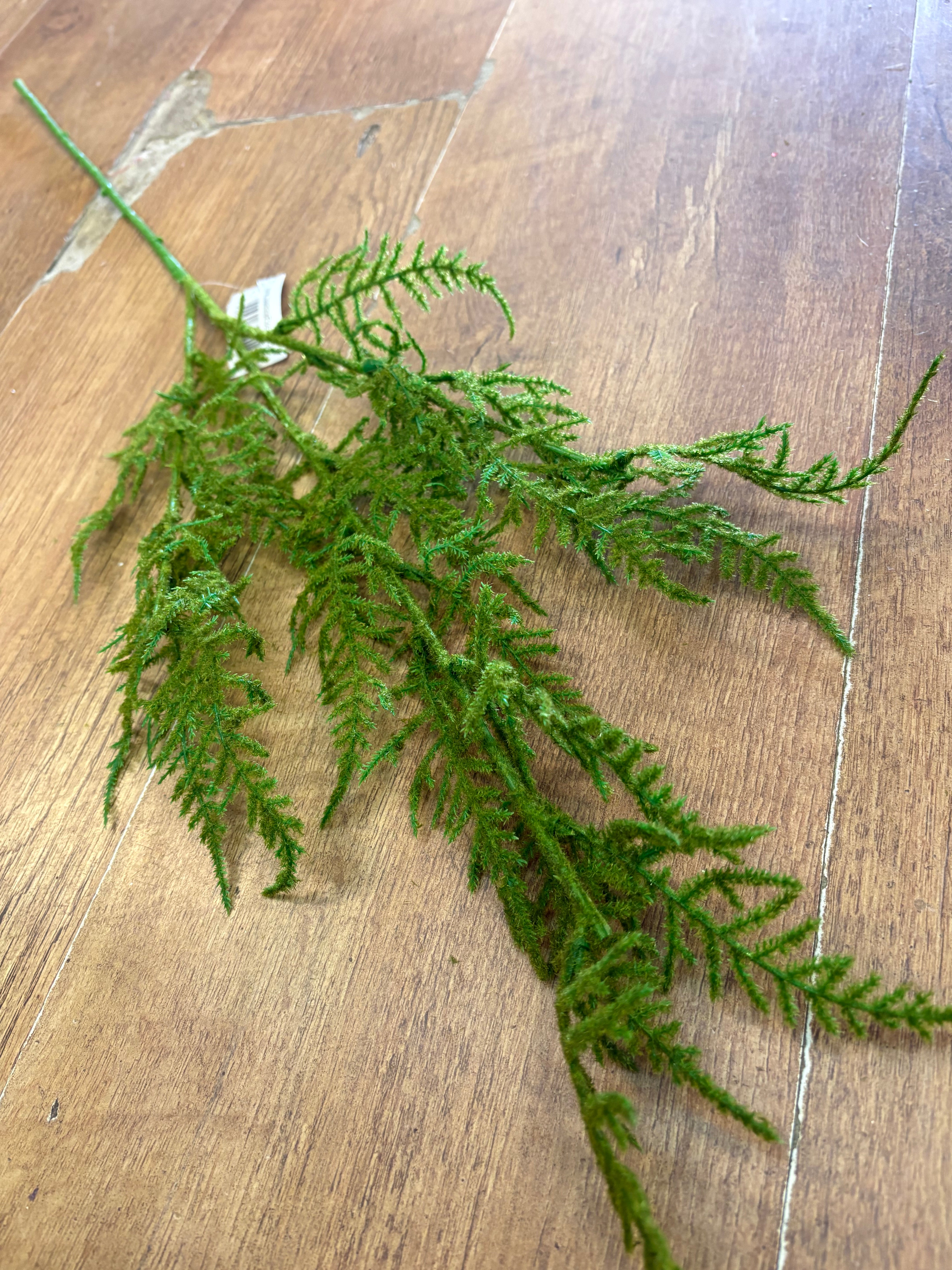 Long stem flocked asparagus fern