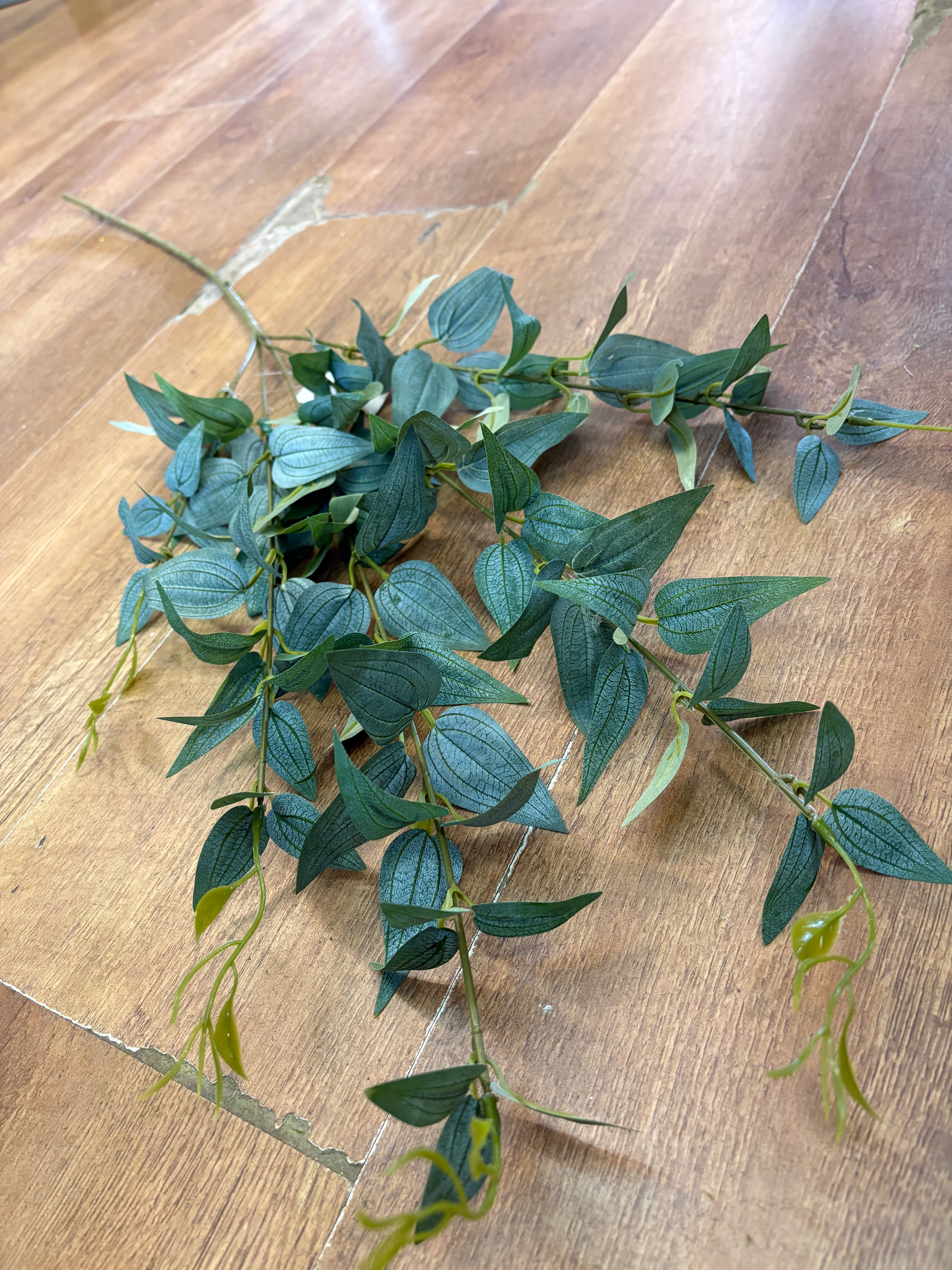 Long stem natural green Italian  ruscus spray