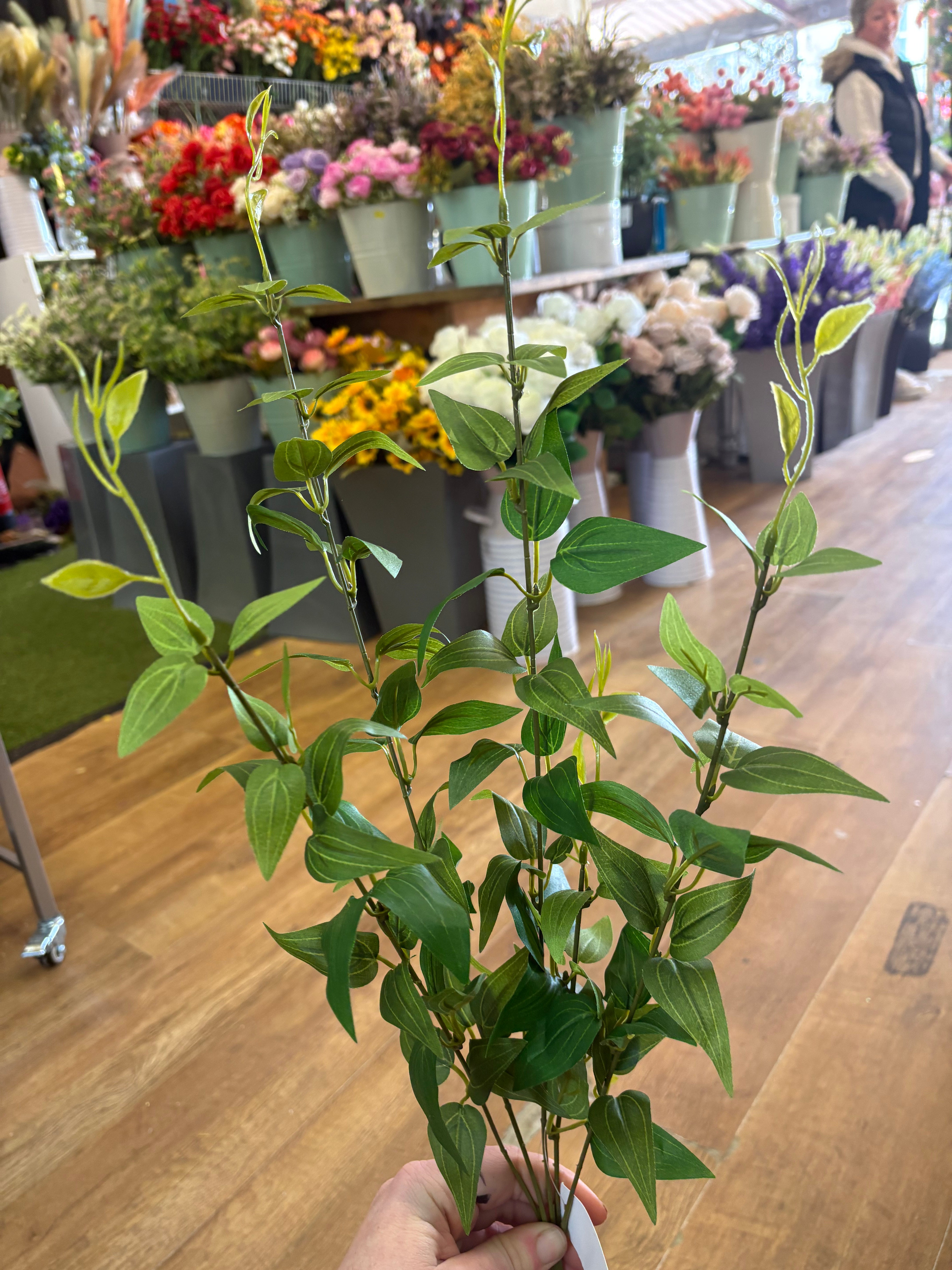Long stem deep green italian ruscus spray