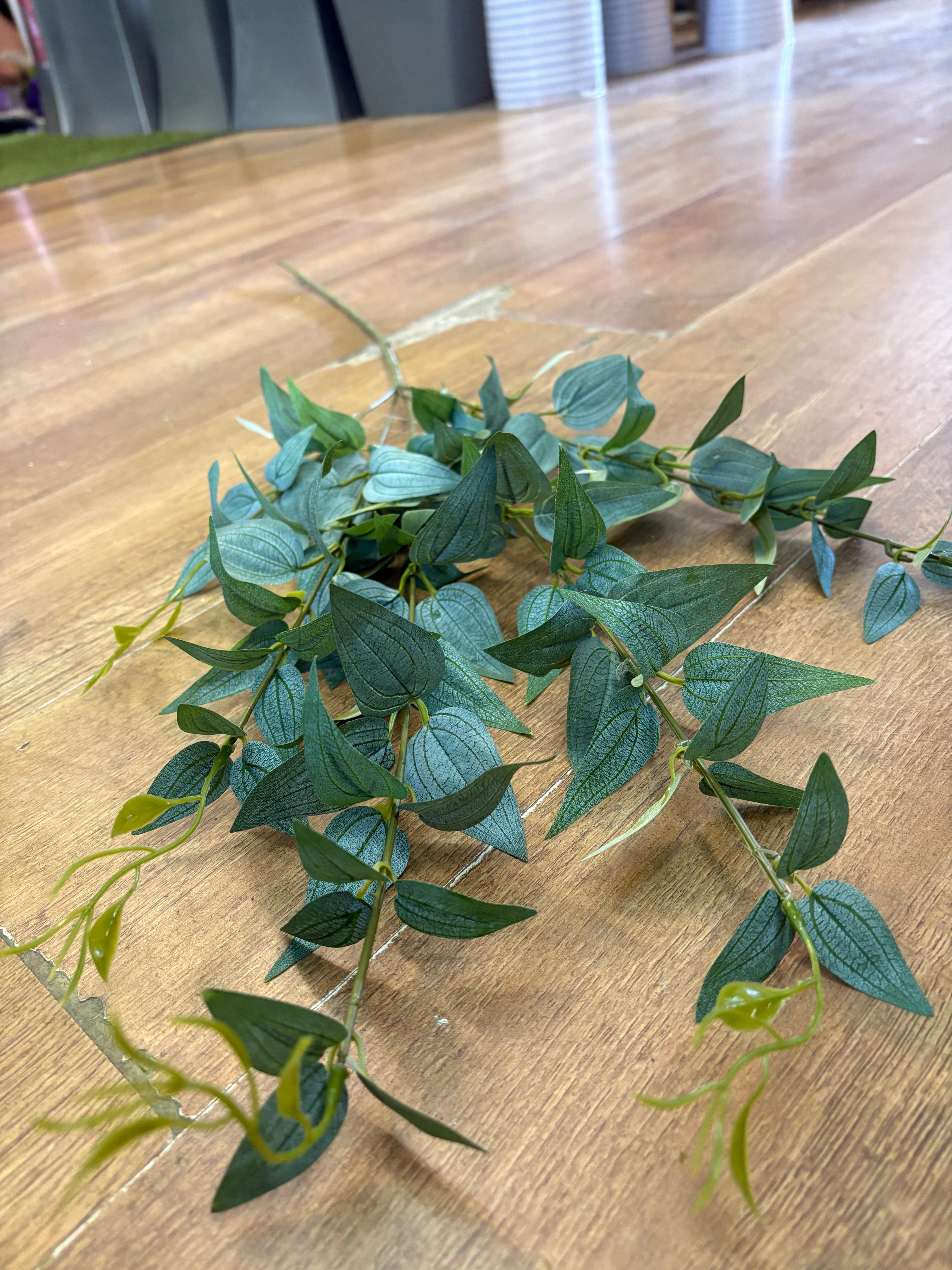 Long stem natural green Italian  ruscus spray