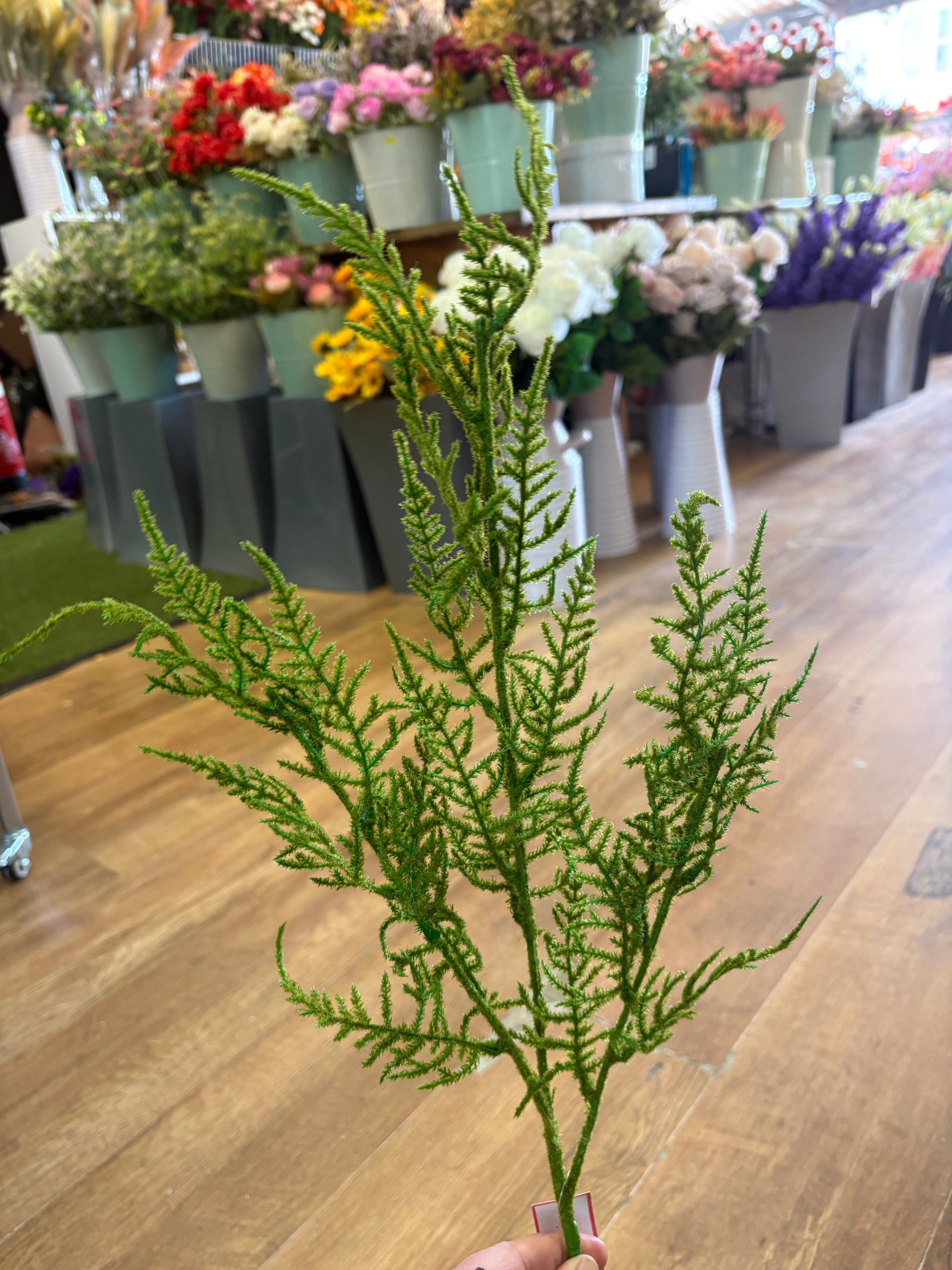 Long stem flocked asparagus fern