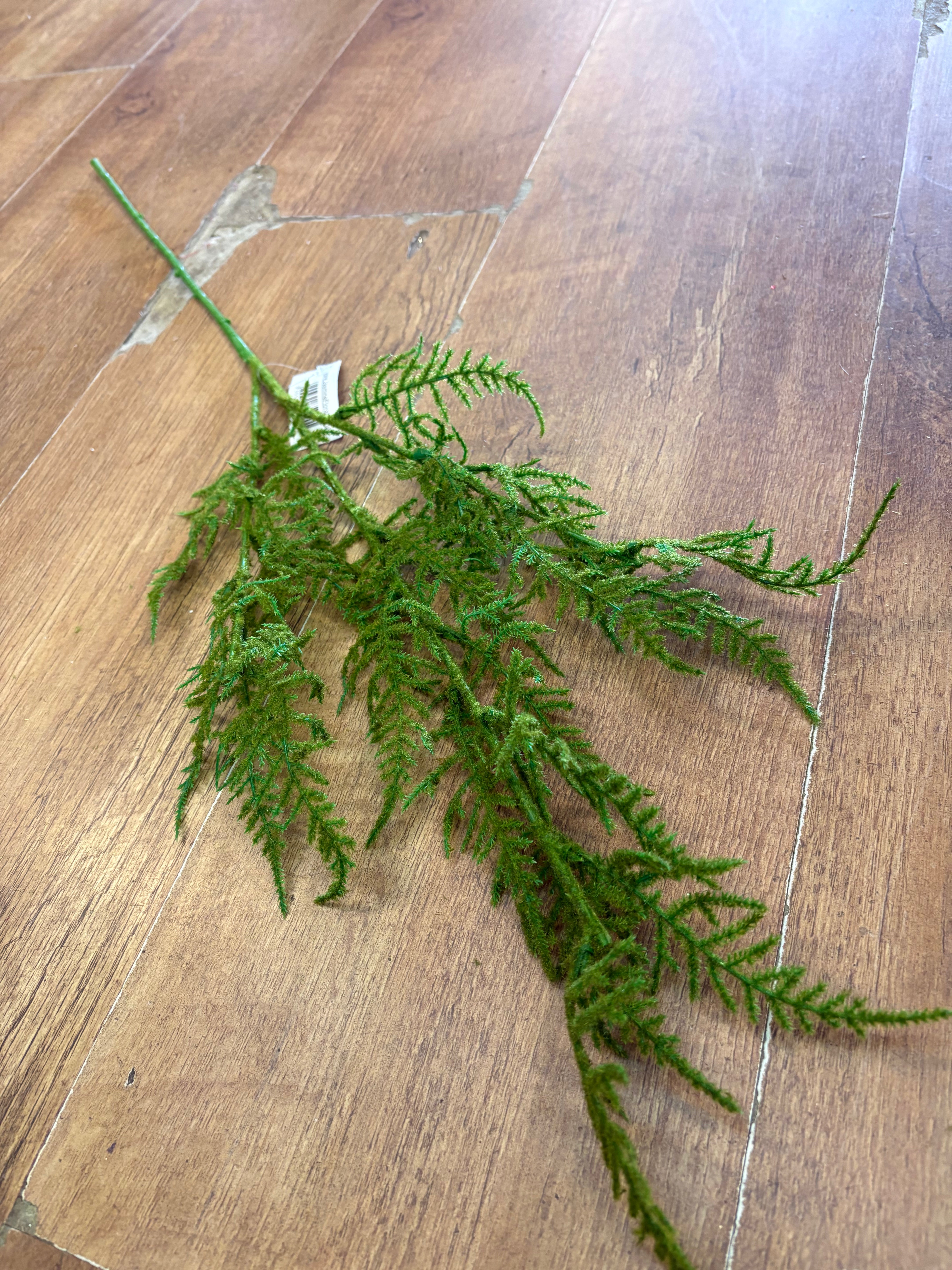 Long stem flocked asparagus fern