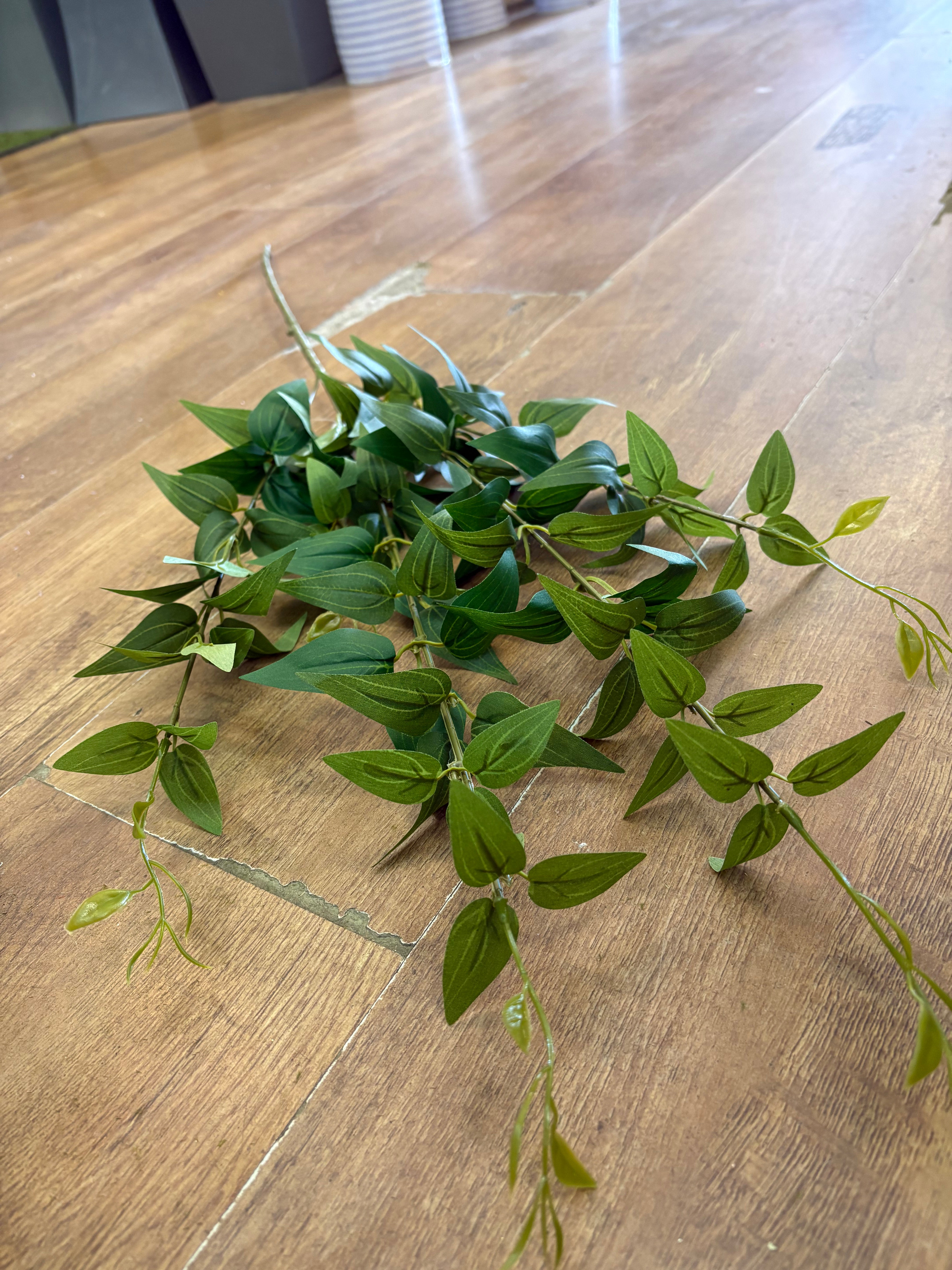 Long stem deep green italian ruscus spray
