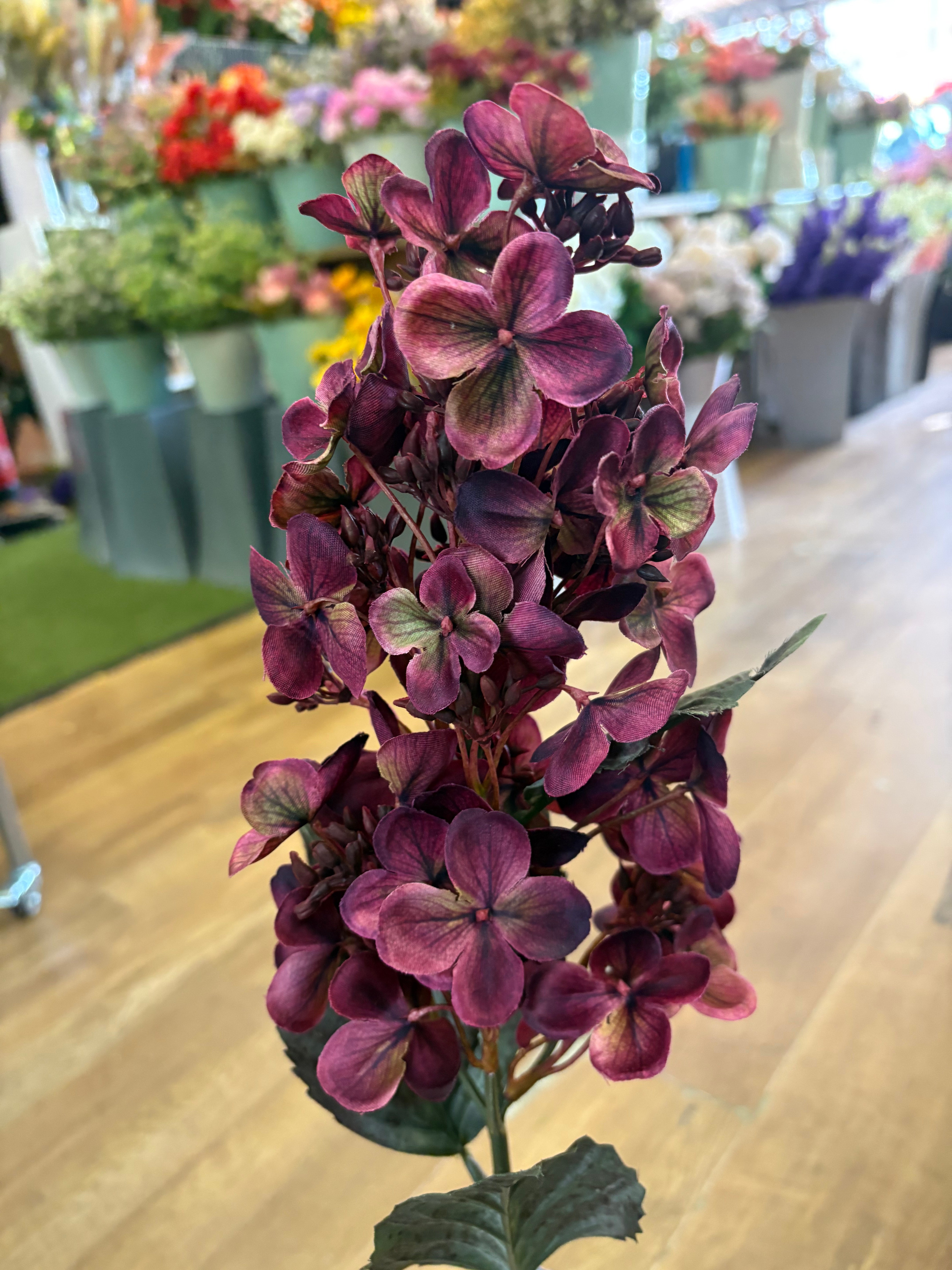 Long stem vintage magenta pinnacle hydrangea