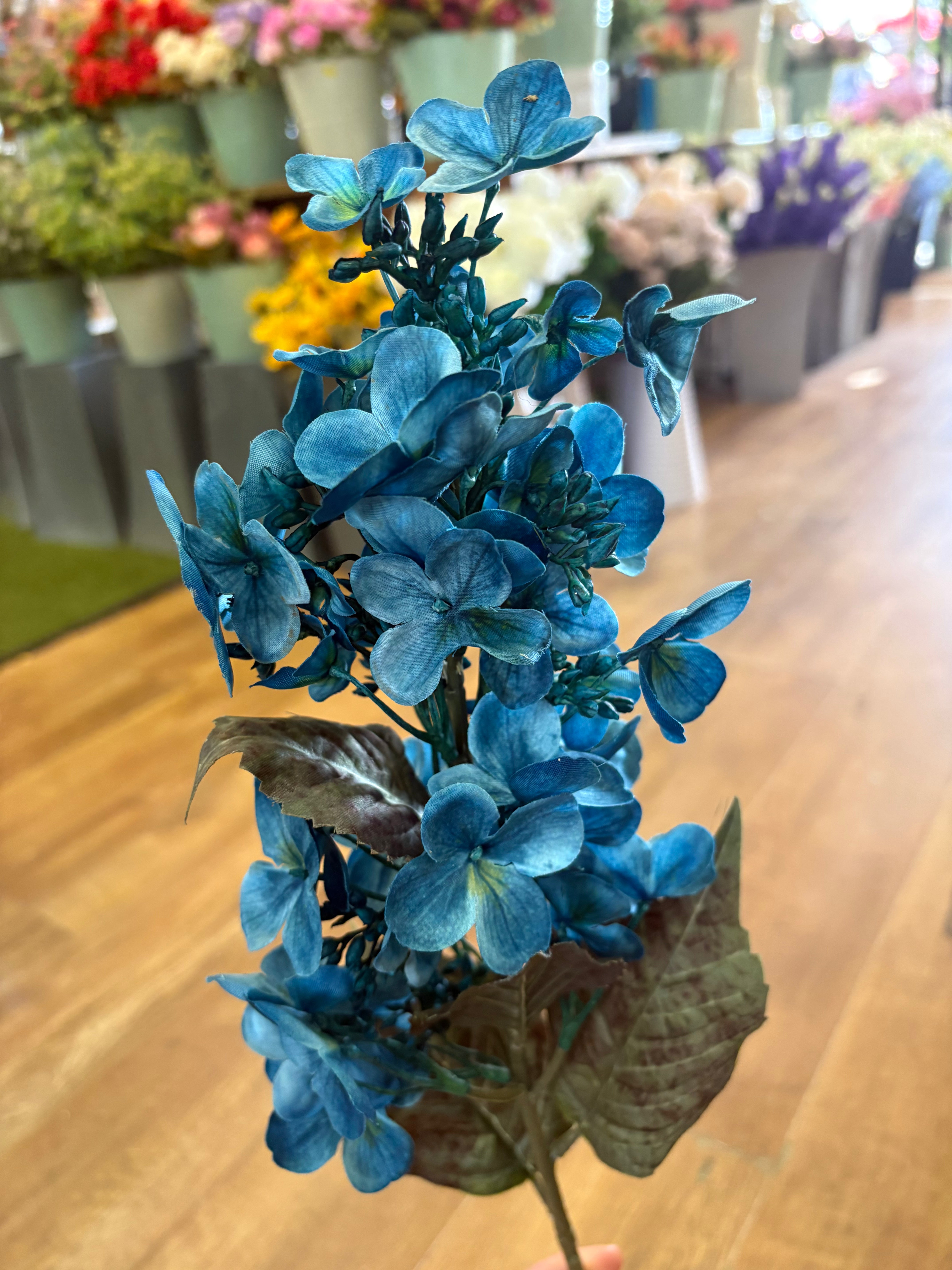 Long stem Teal pinnacle hydrangea