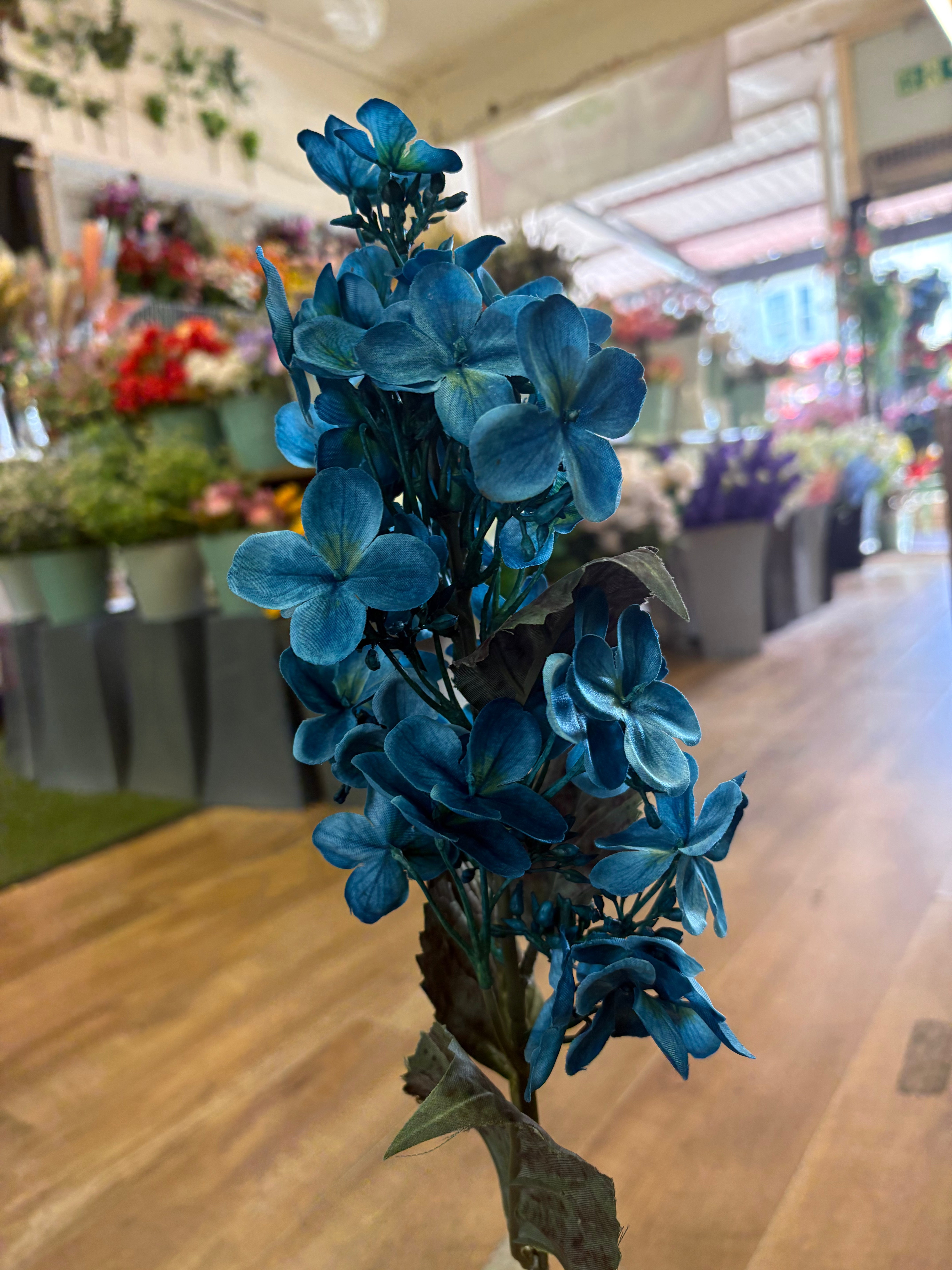 Long stem Teal pinnacle hydrangea