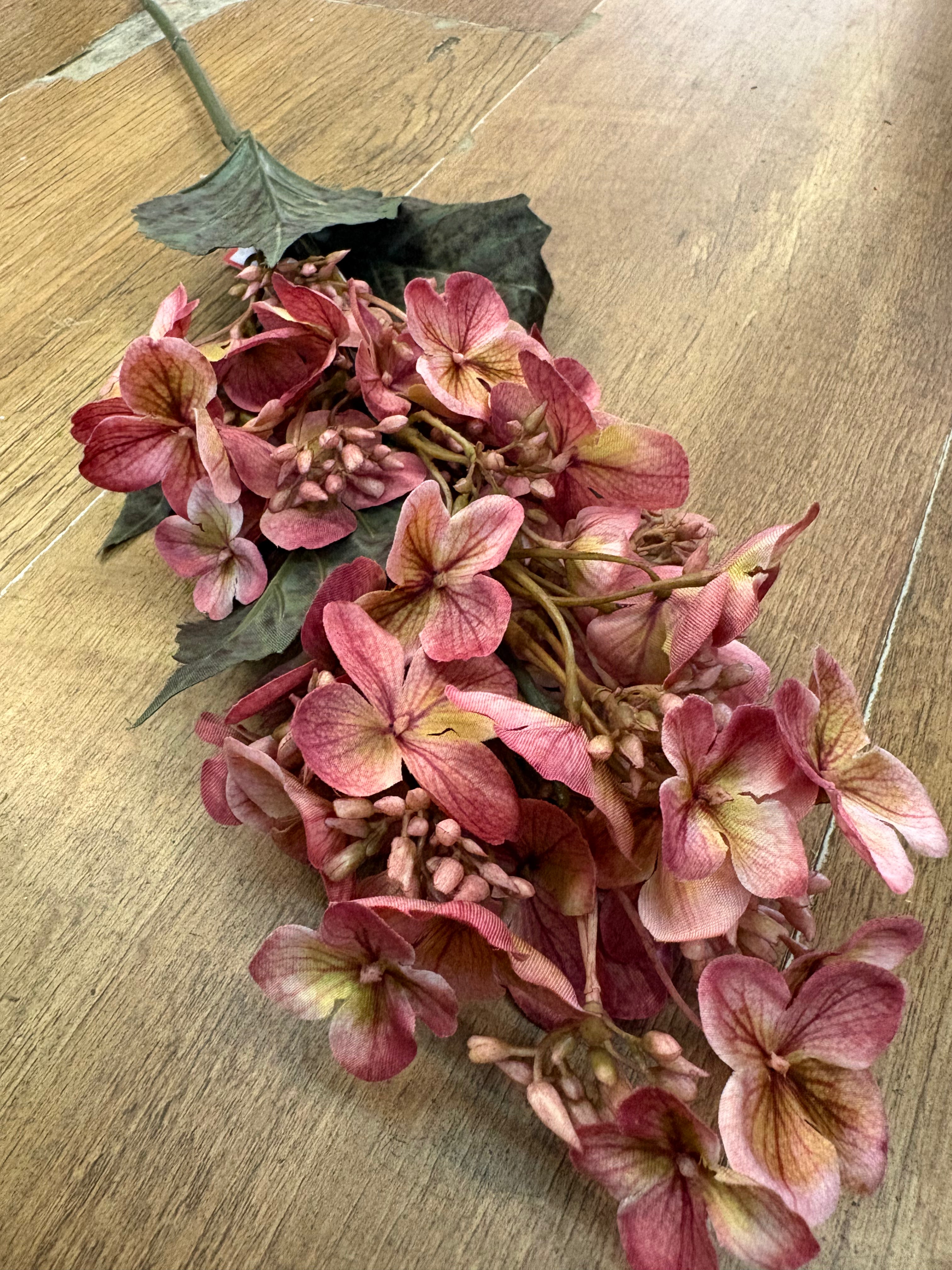 Long stem vintage pink pinnacle hydrangea