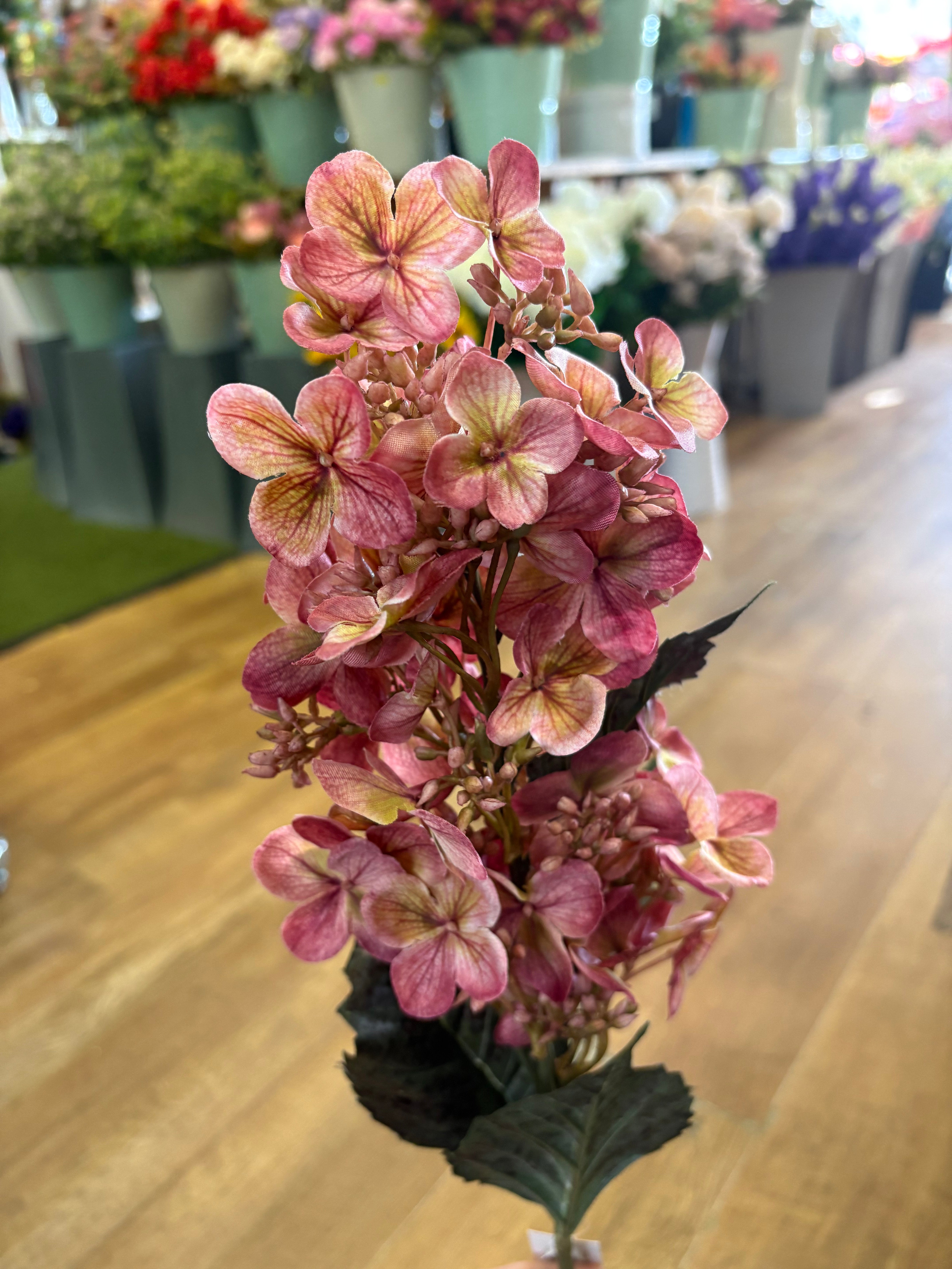 Long stem vintage pink pinnacle hydrangea