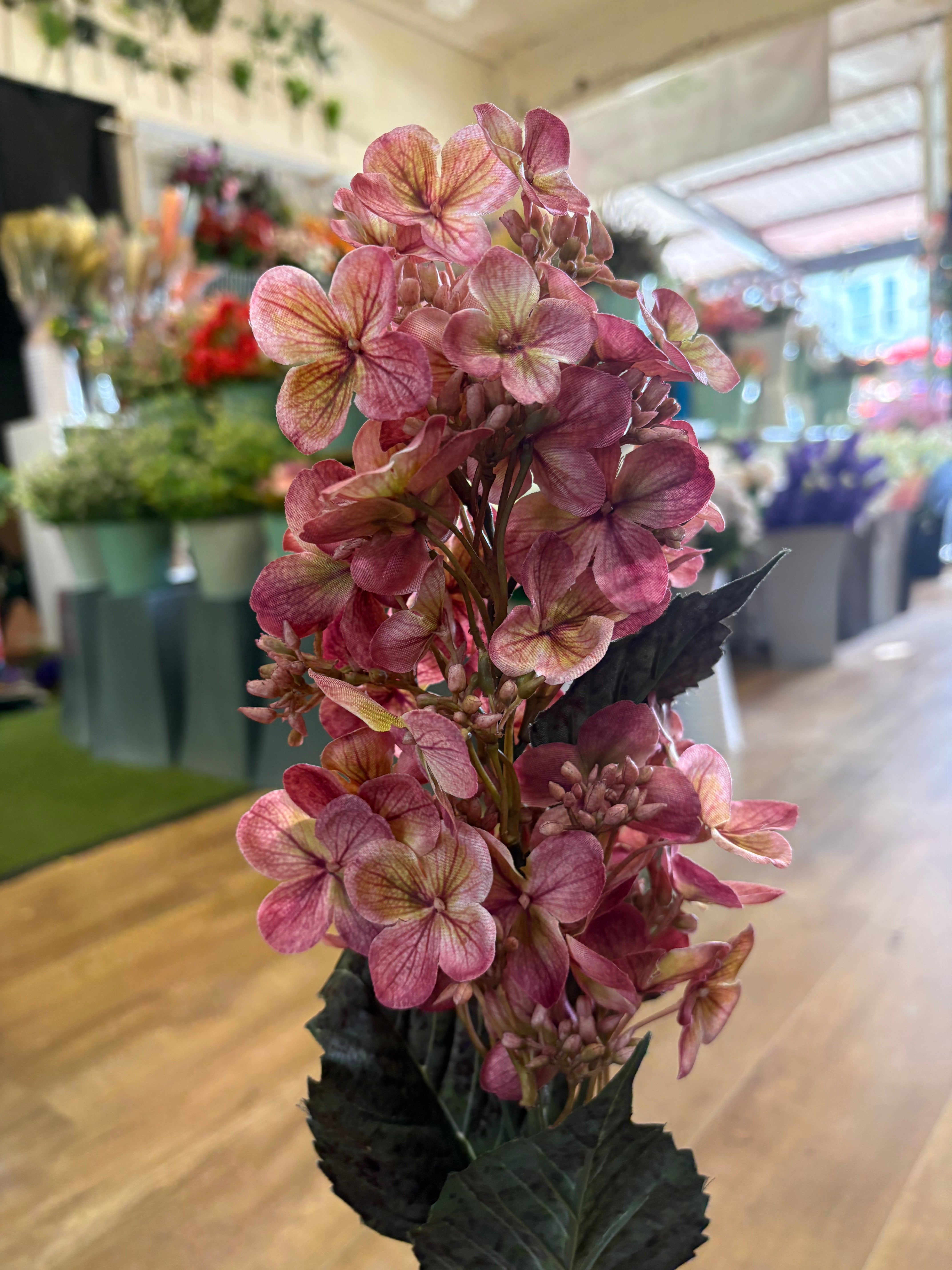 Long stem vintage pink pinnacle hydrangea