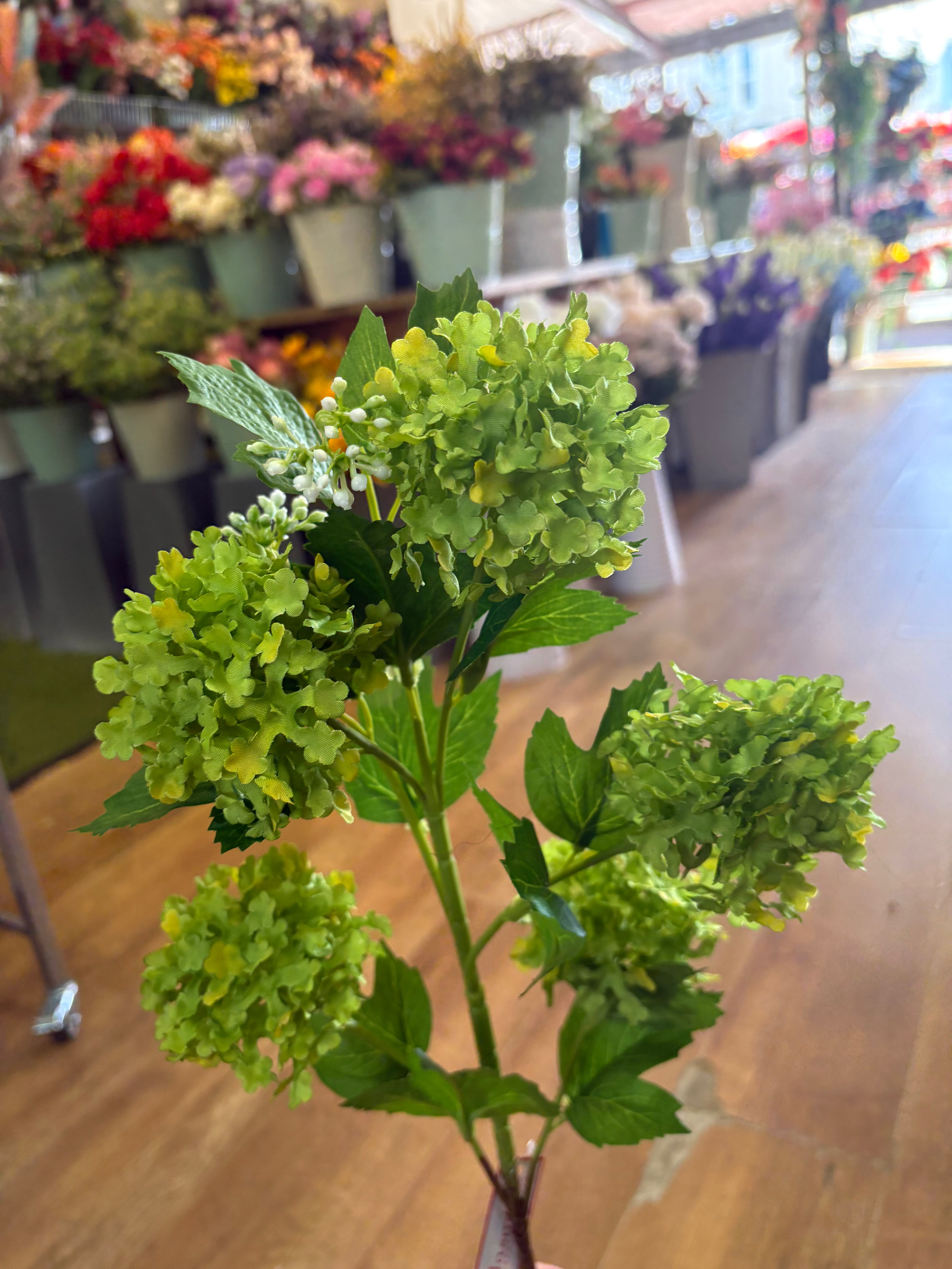 Tall stem lime green kalanchoe geranium spray