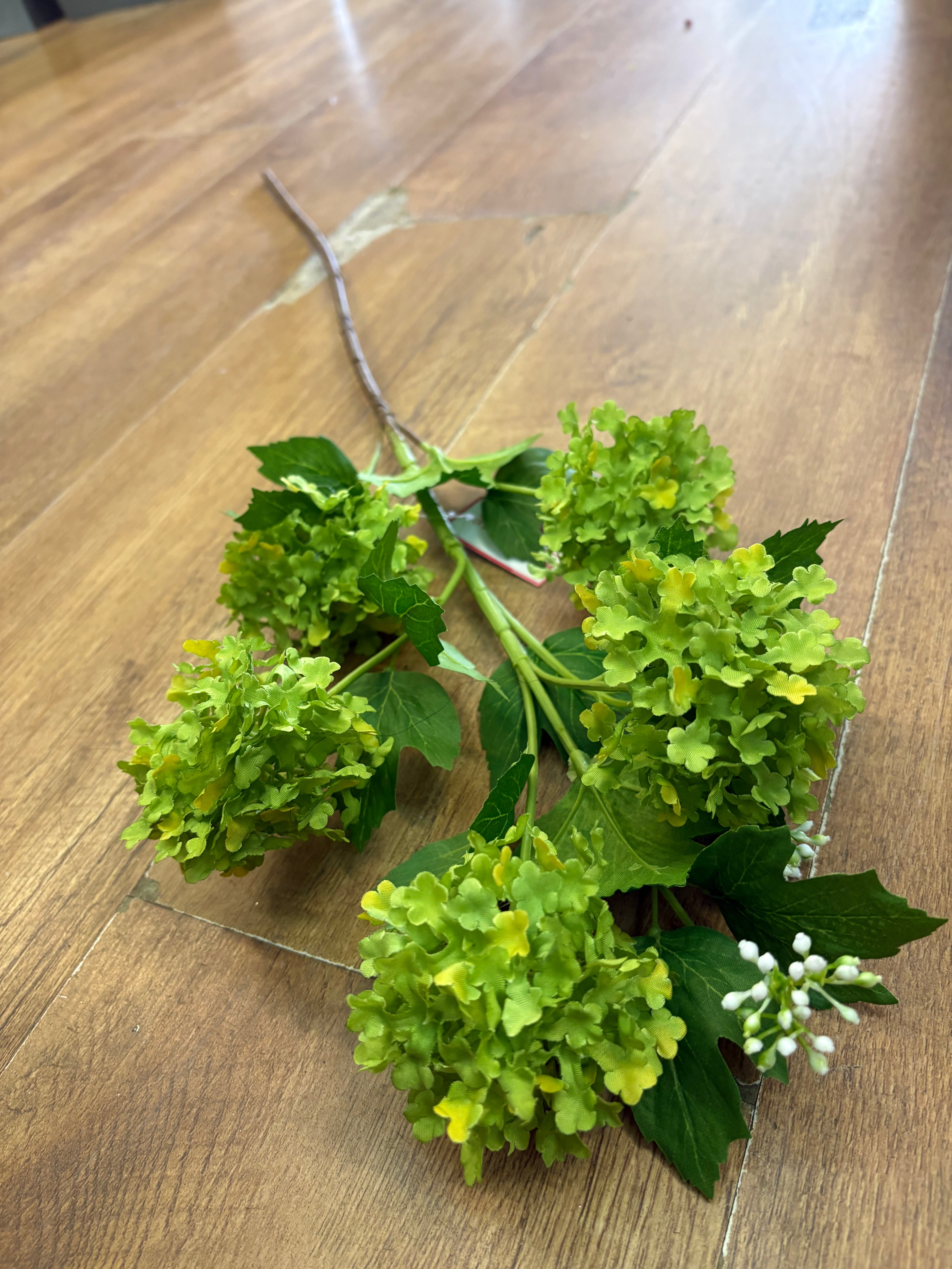 Tall stem lime green kalanchoe geranium spray