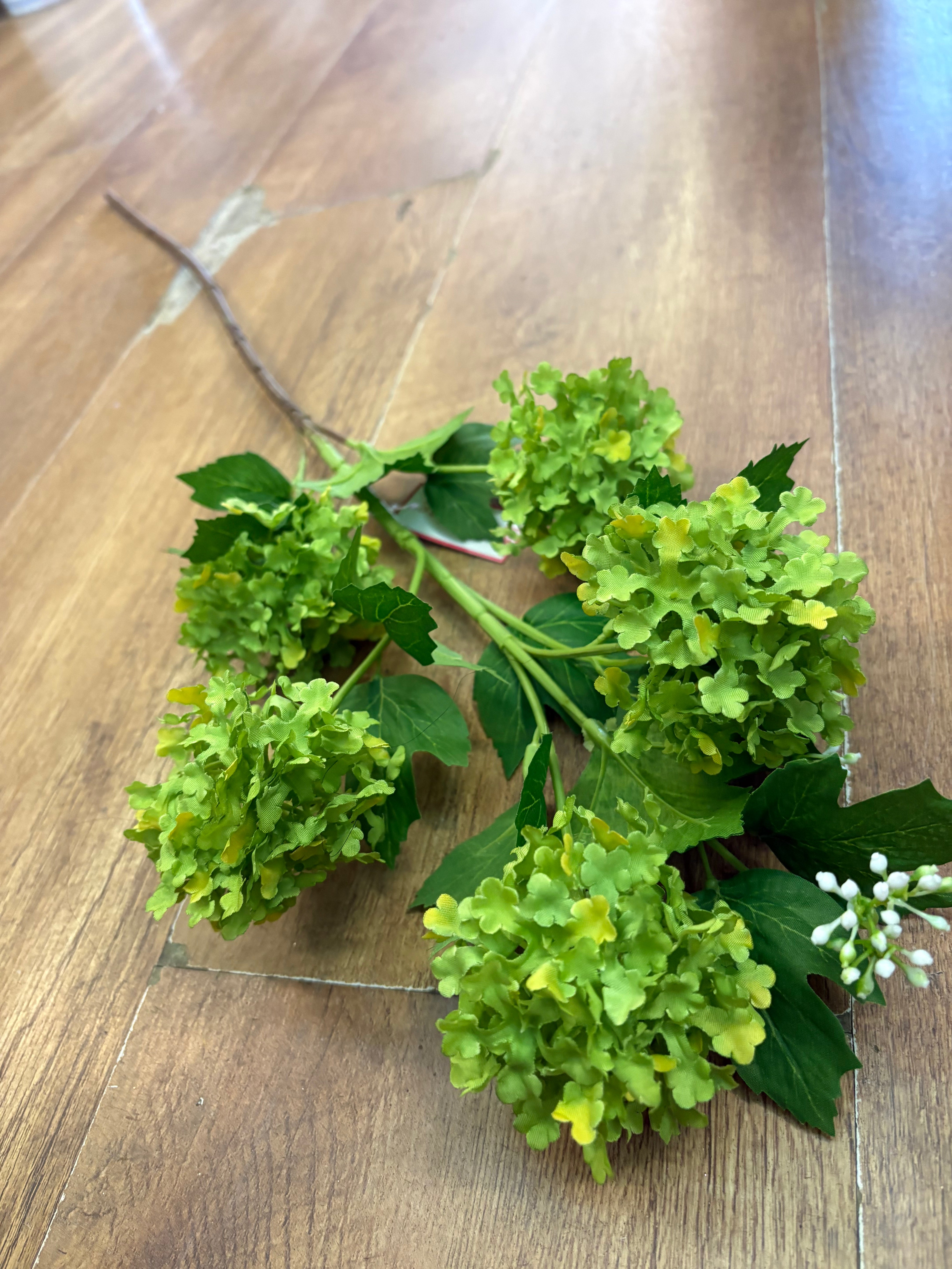 Tall stem lime green kalanchoe geranium spray