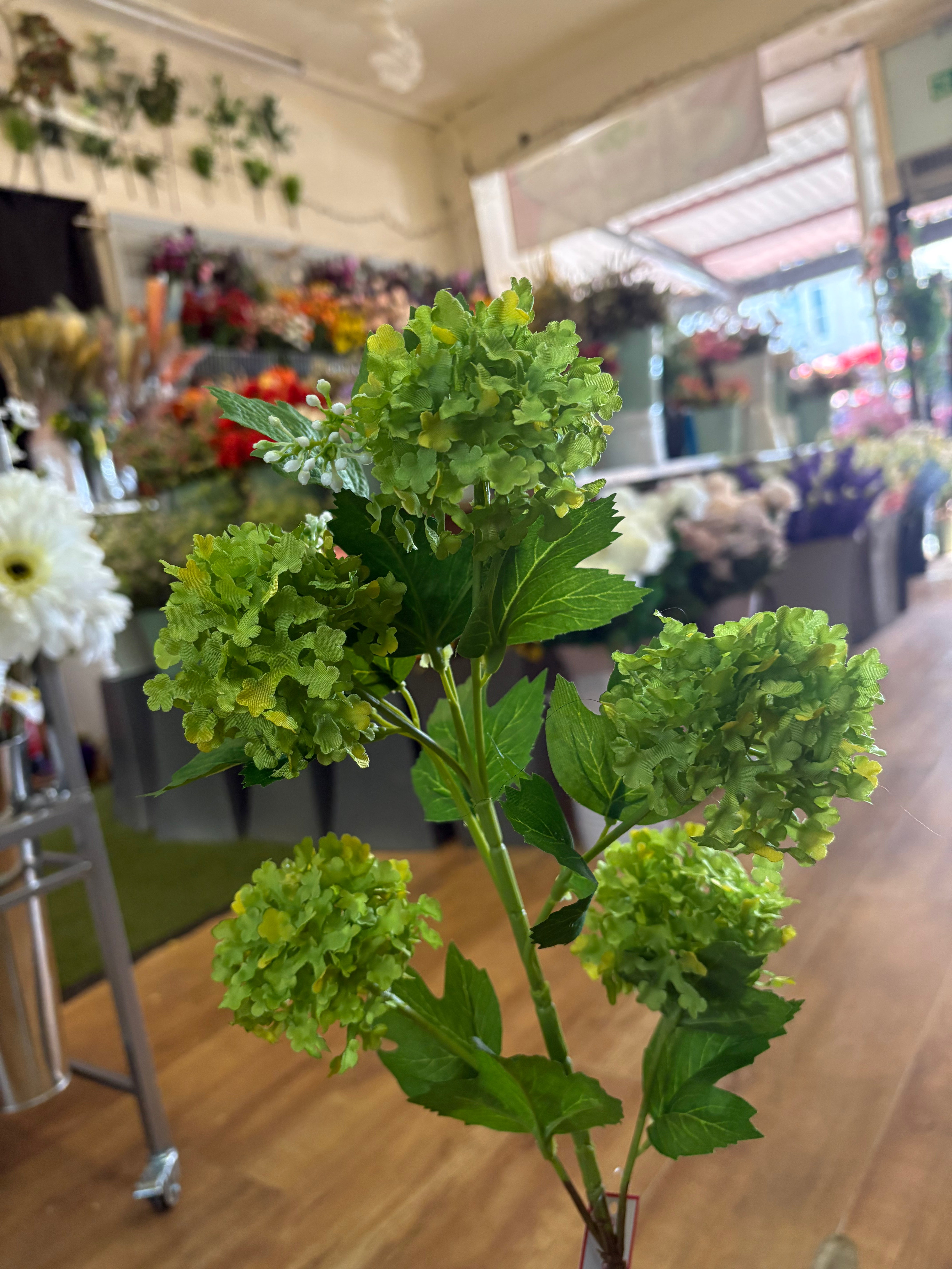 Tall stem lime green kalanchoe geranium spray