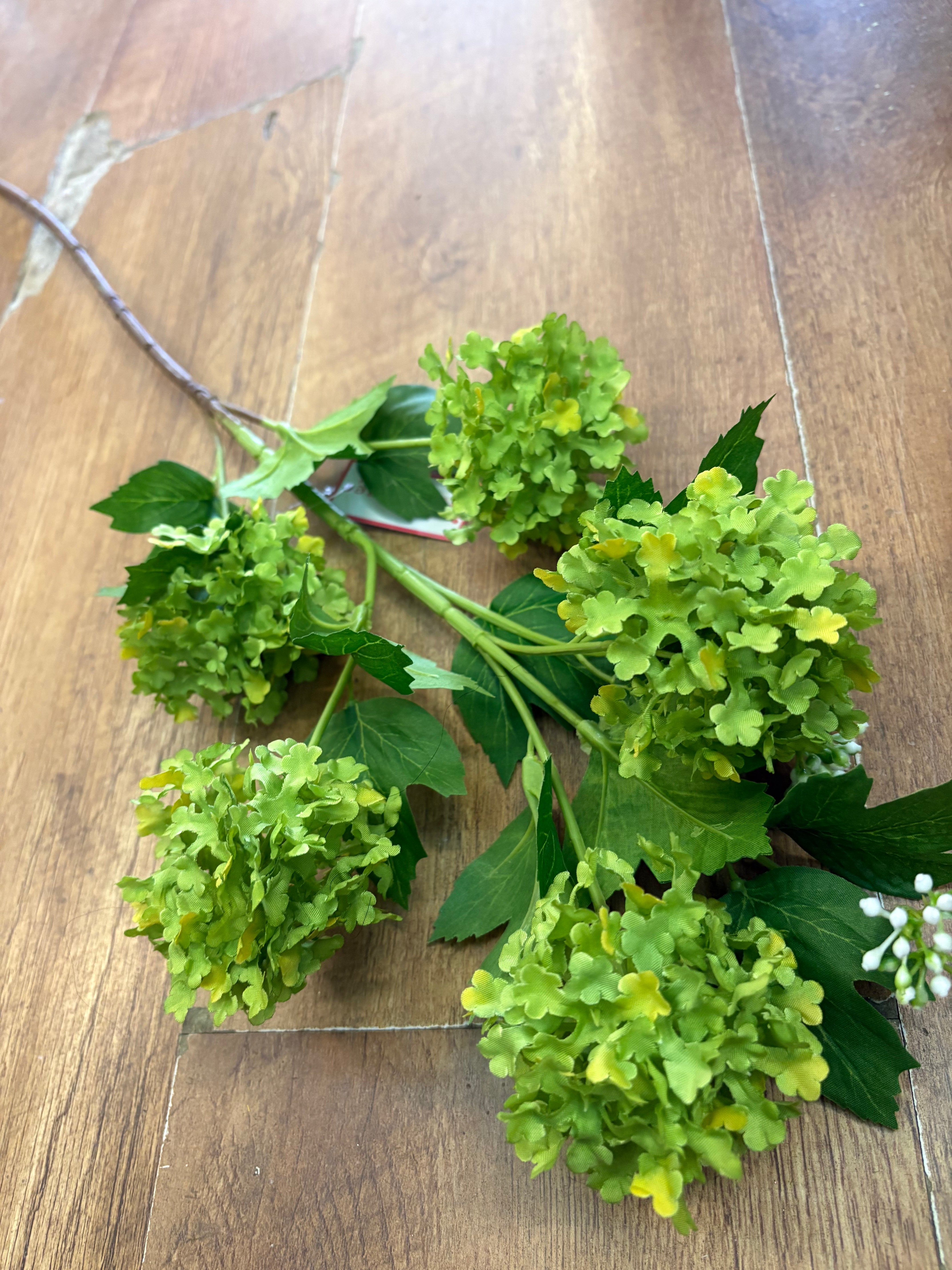 Tall stem lime green kalanchoe geranium spray