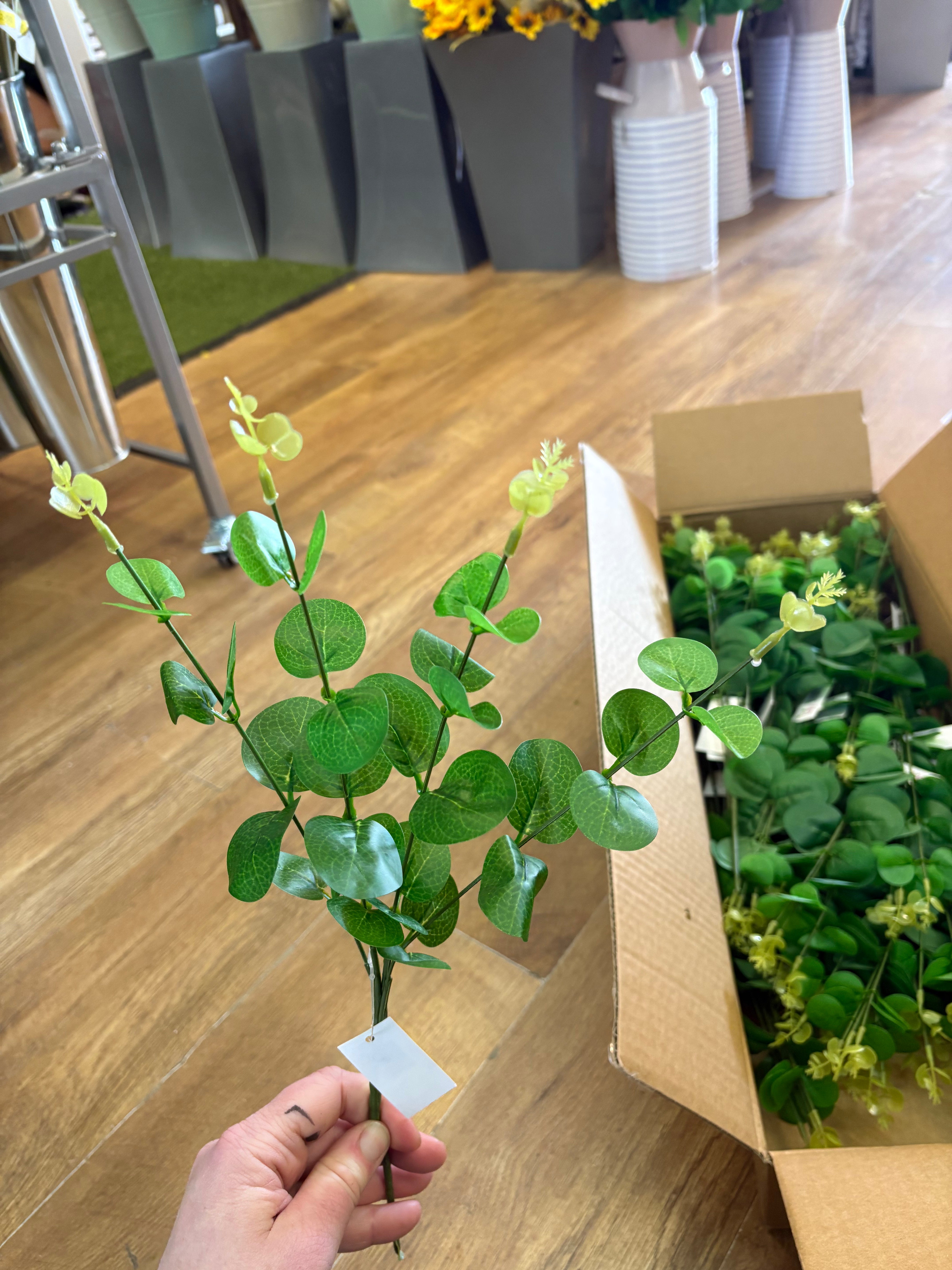 Box of 48 small green eucalyptus stems