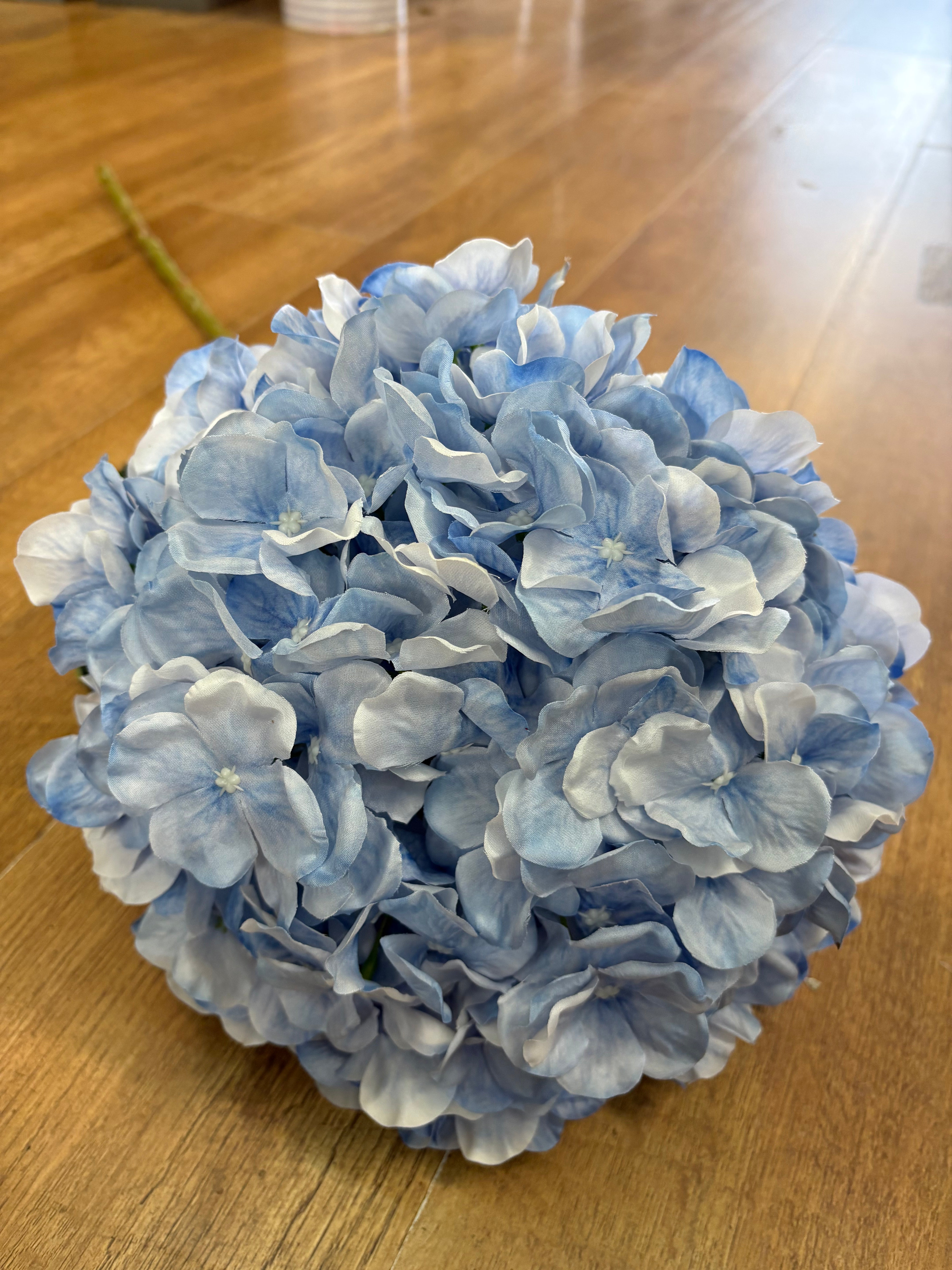 Giant head pale blue premium hydrangea