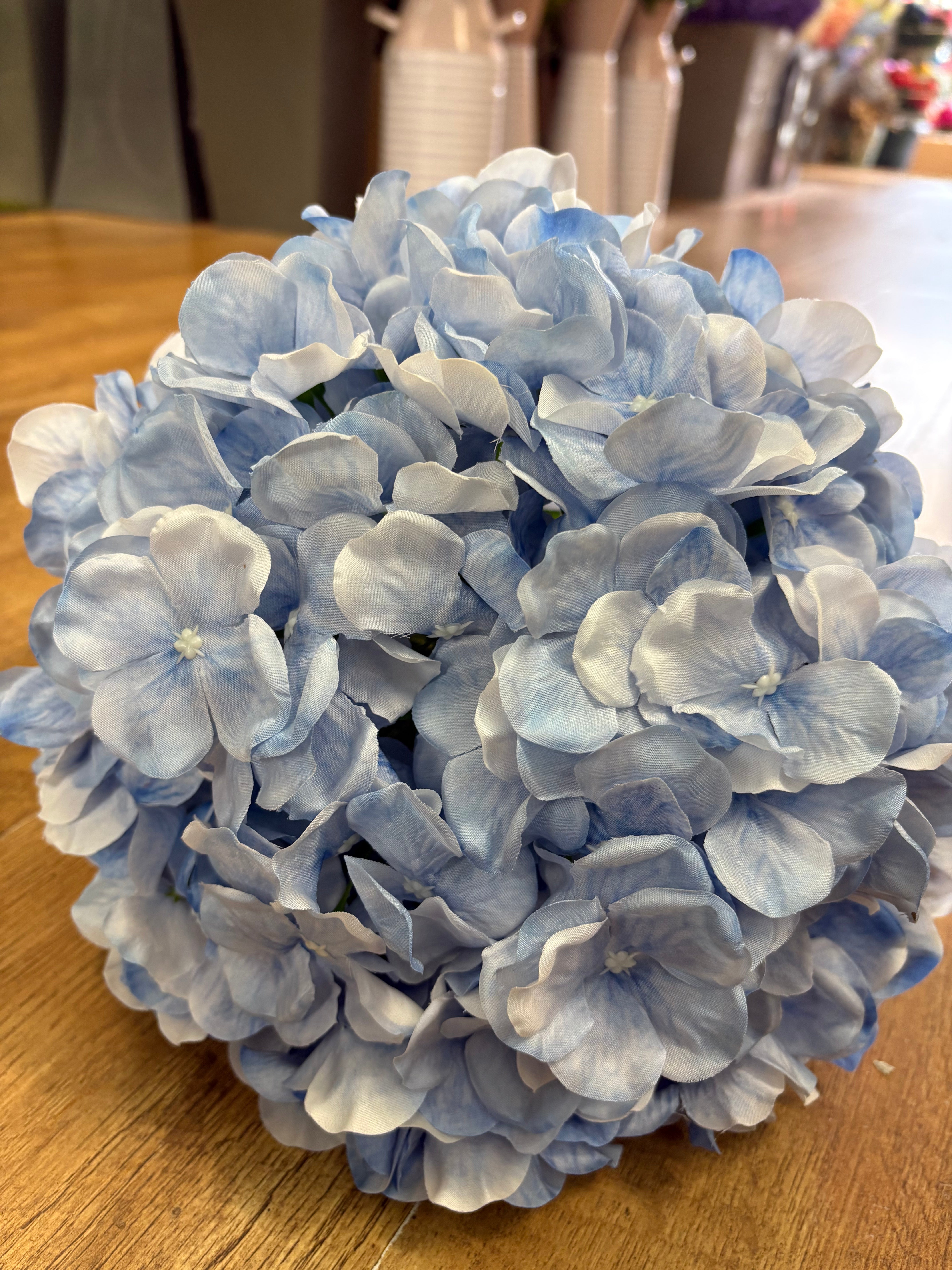 Giant head pale blue premium hydrangea