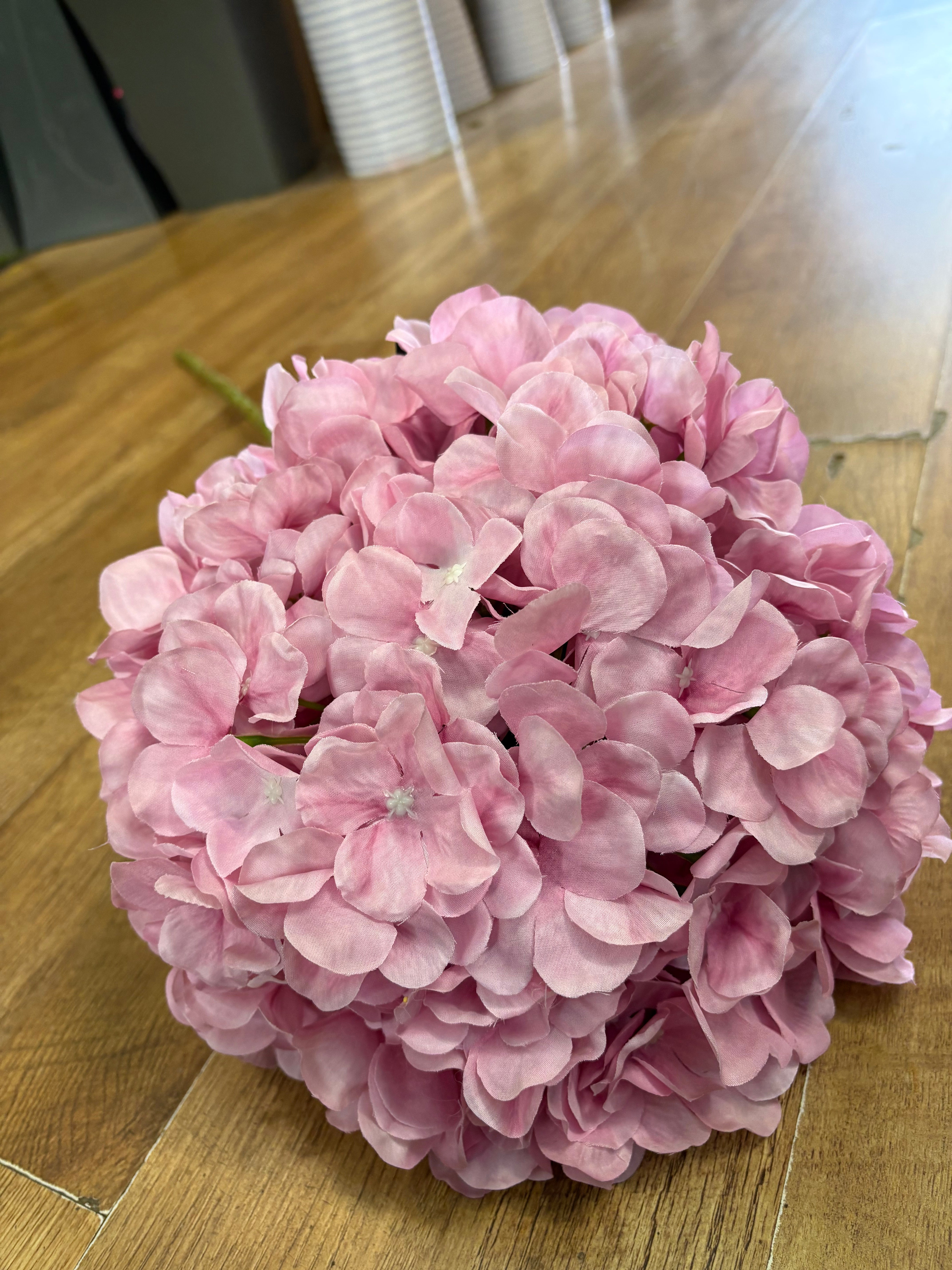 Giant head pale pink premium hydrangea
