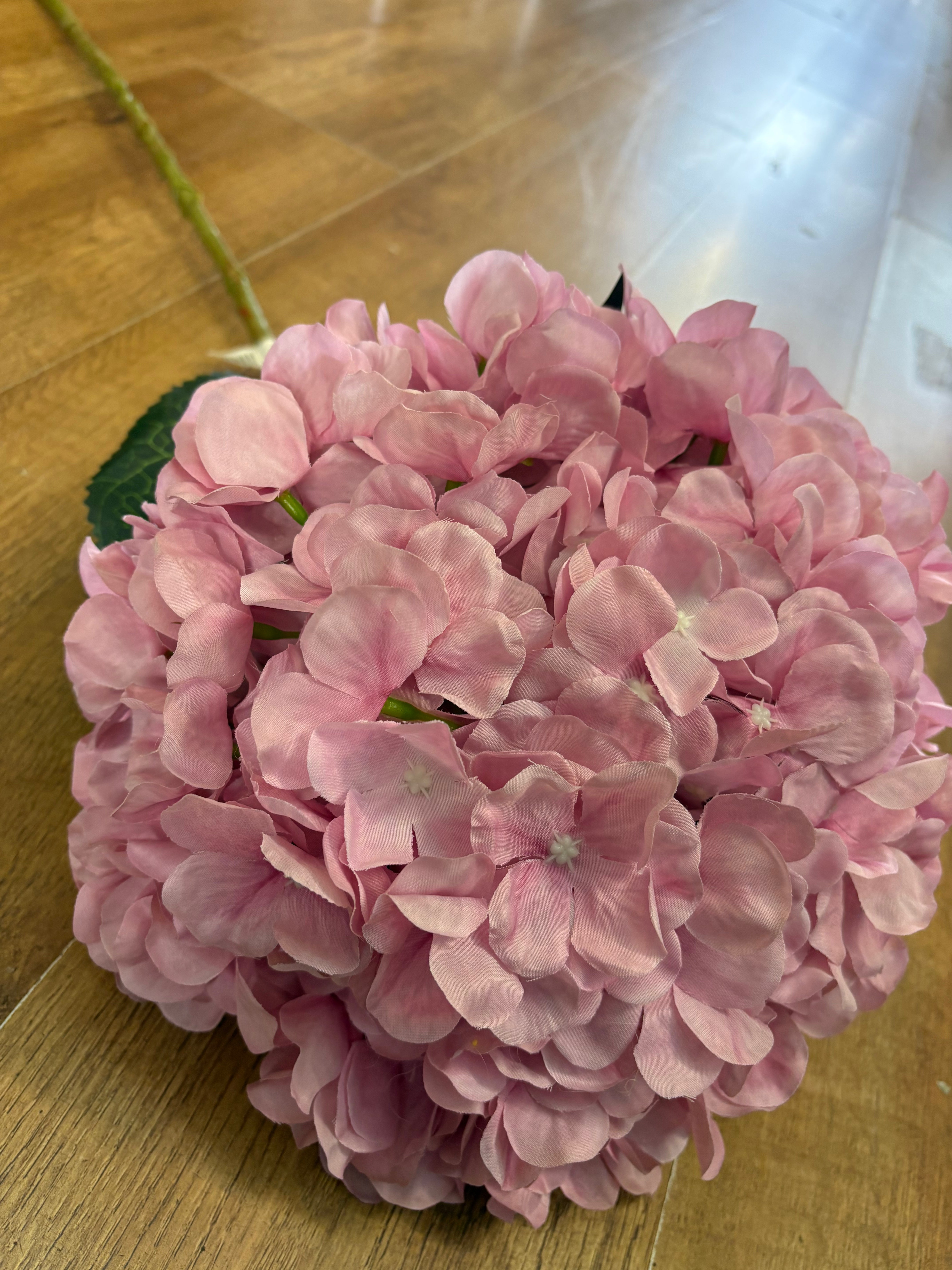 Giant head pale pink premium hydrangea