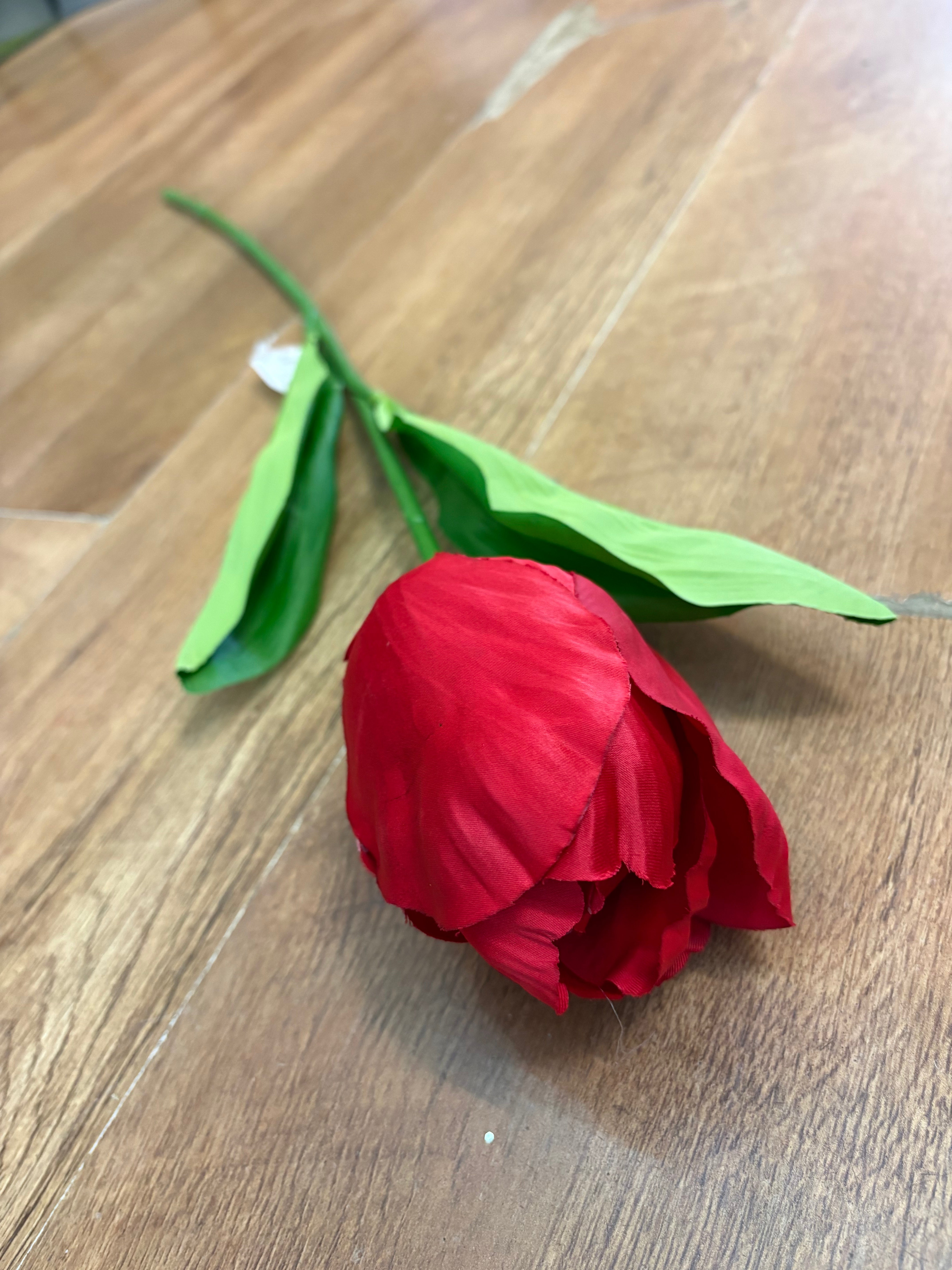 75cm Long stem single large tulip - 6 colours available