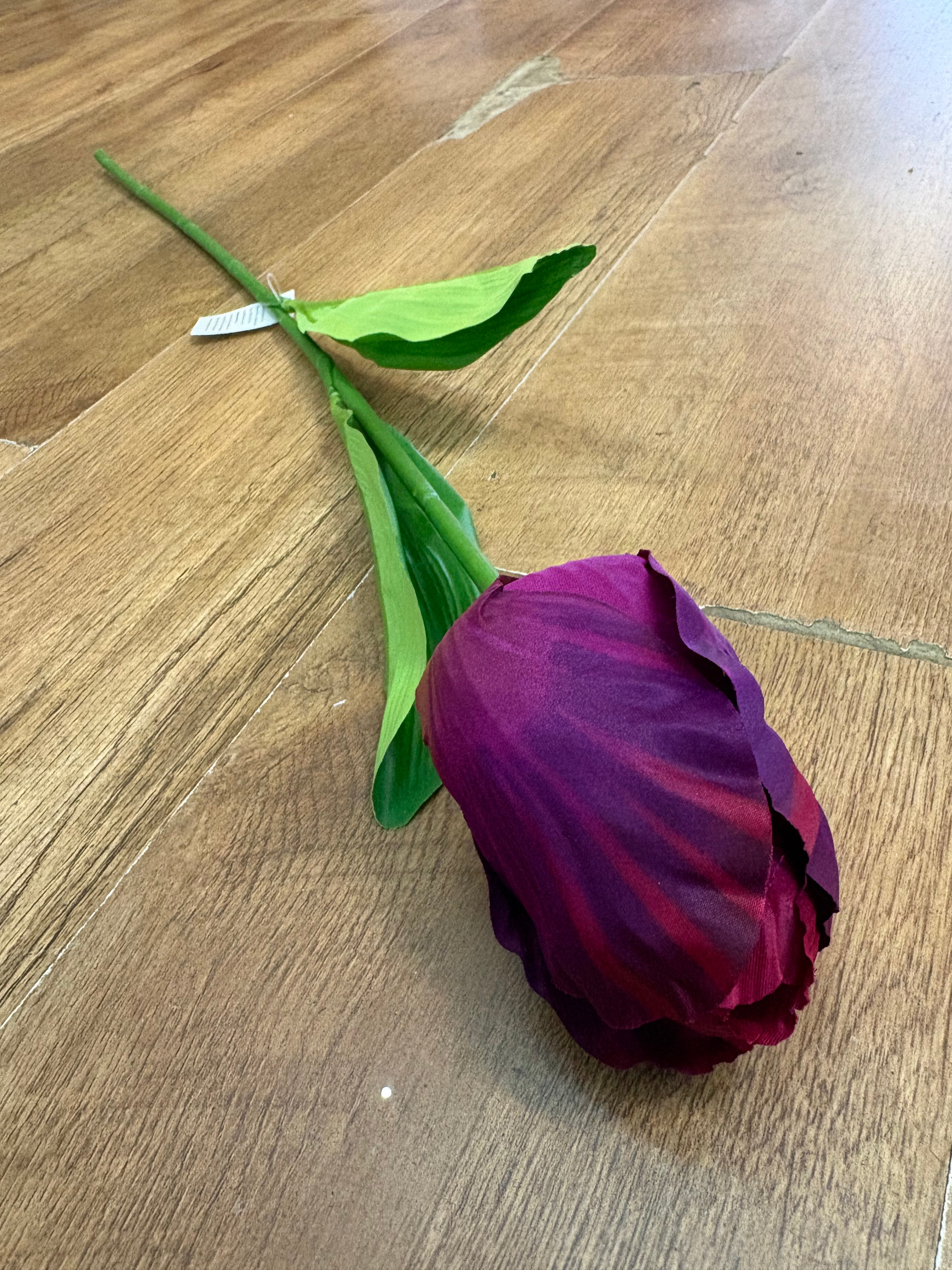 75cm Long stem single large tulip - 6 colours available