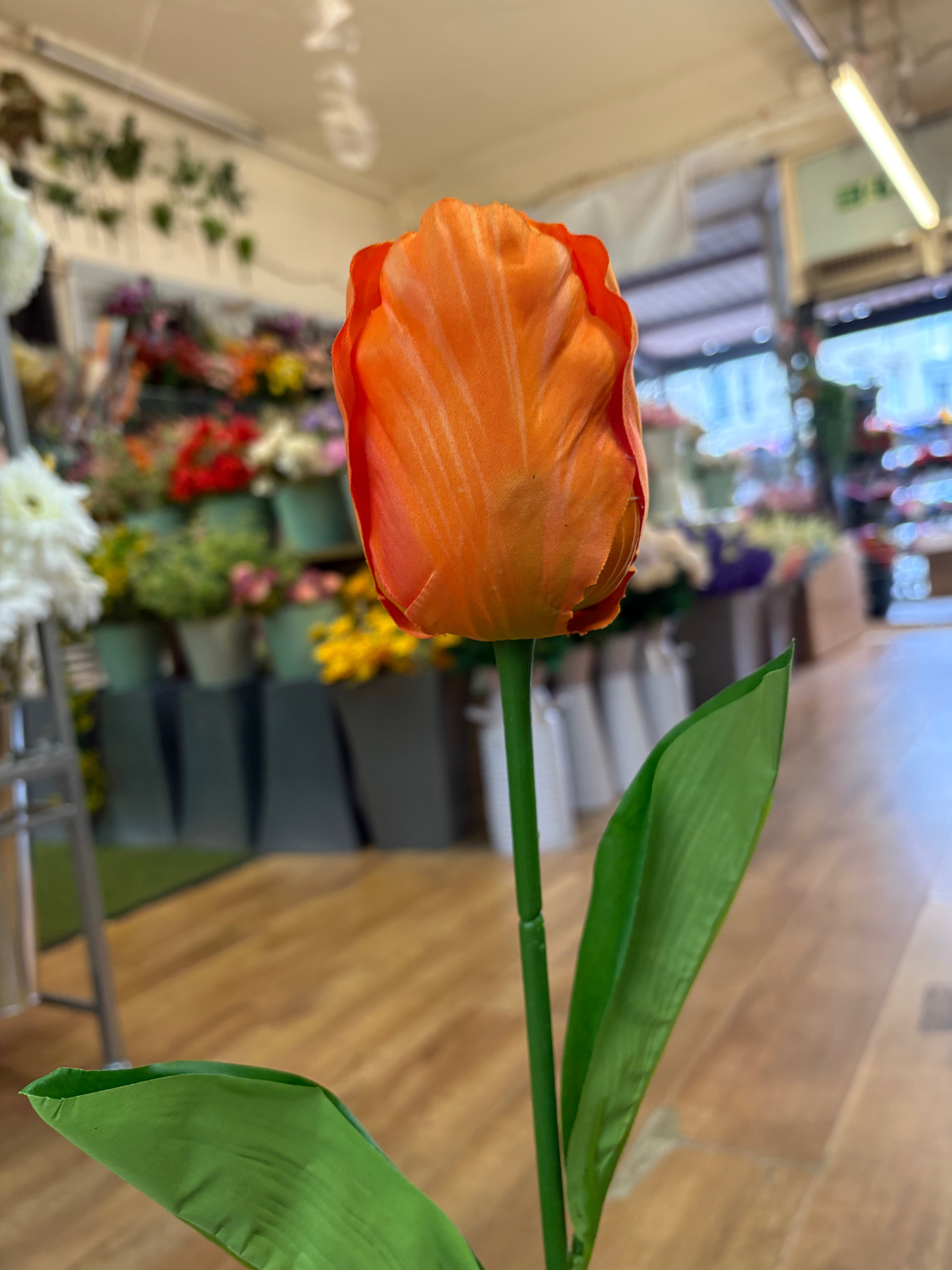 75cm Long stem single large tulip - 6 colours available