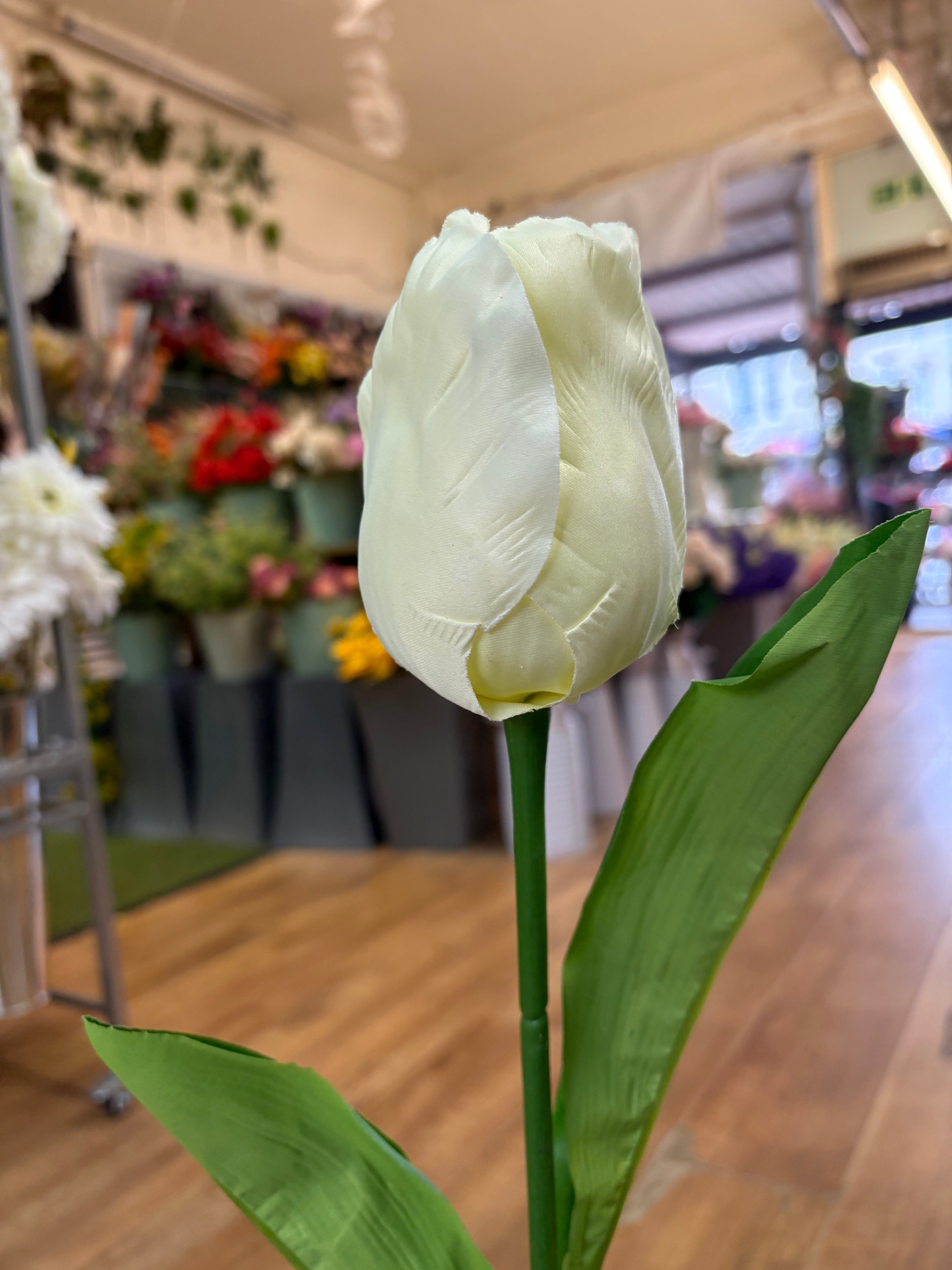 75cm Long stem single large tulip - 6 colours available