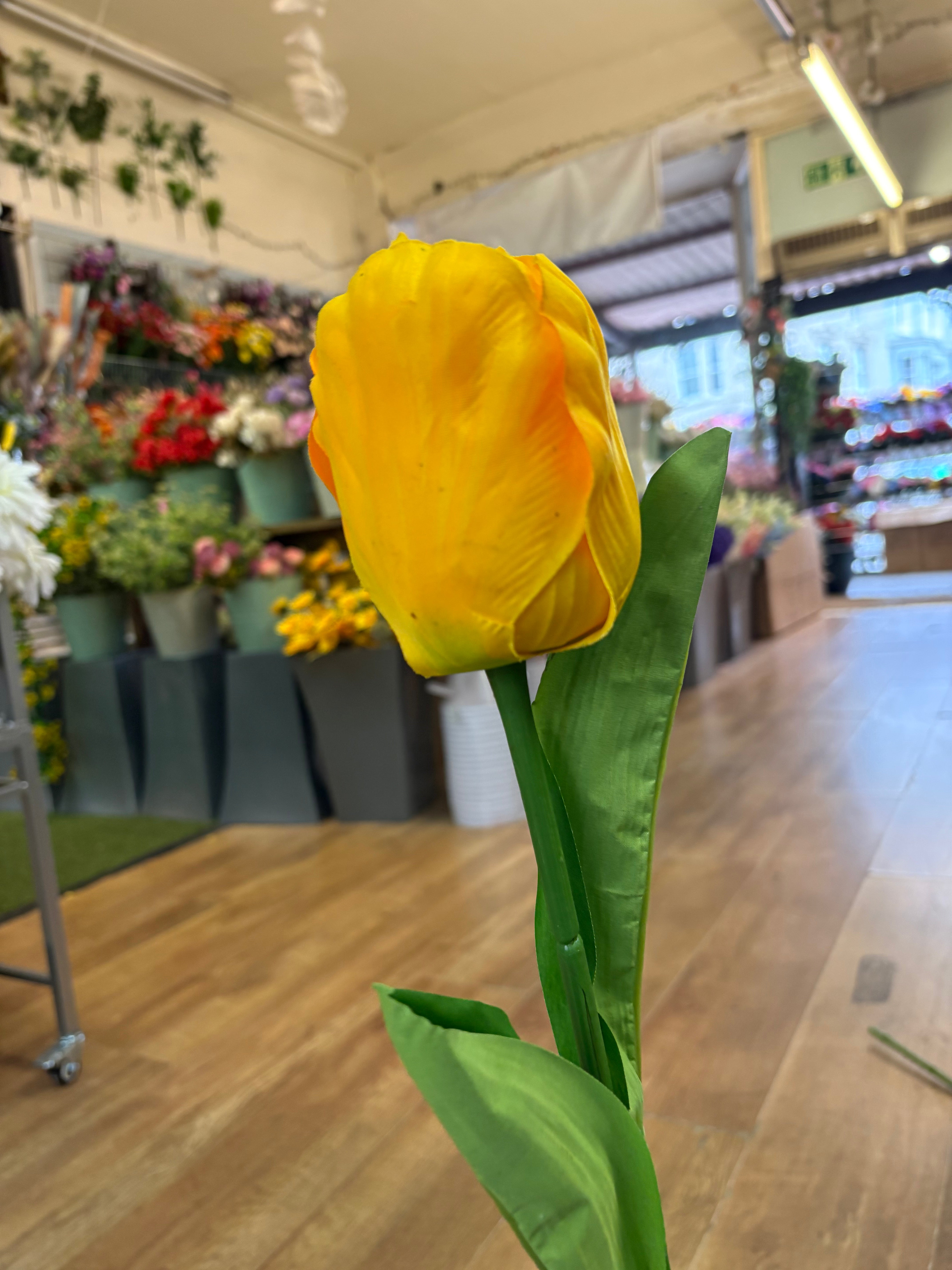 75cm Long stem single large tulip - 6 colours available