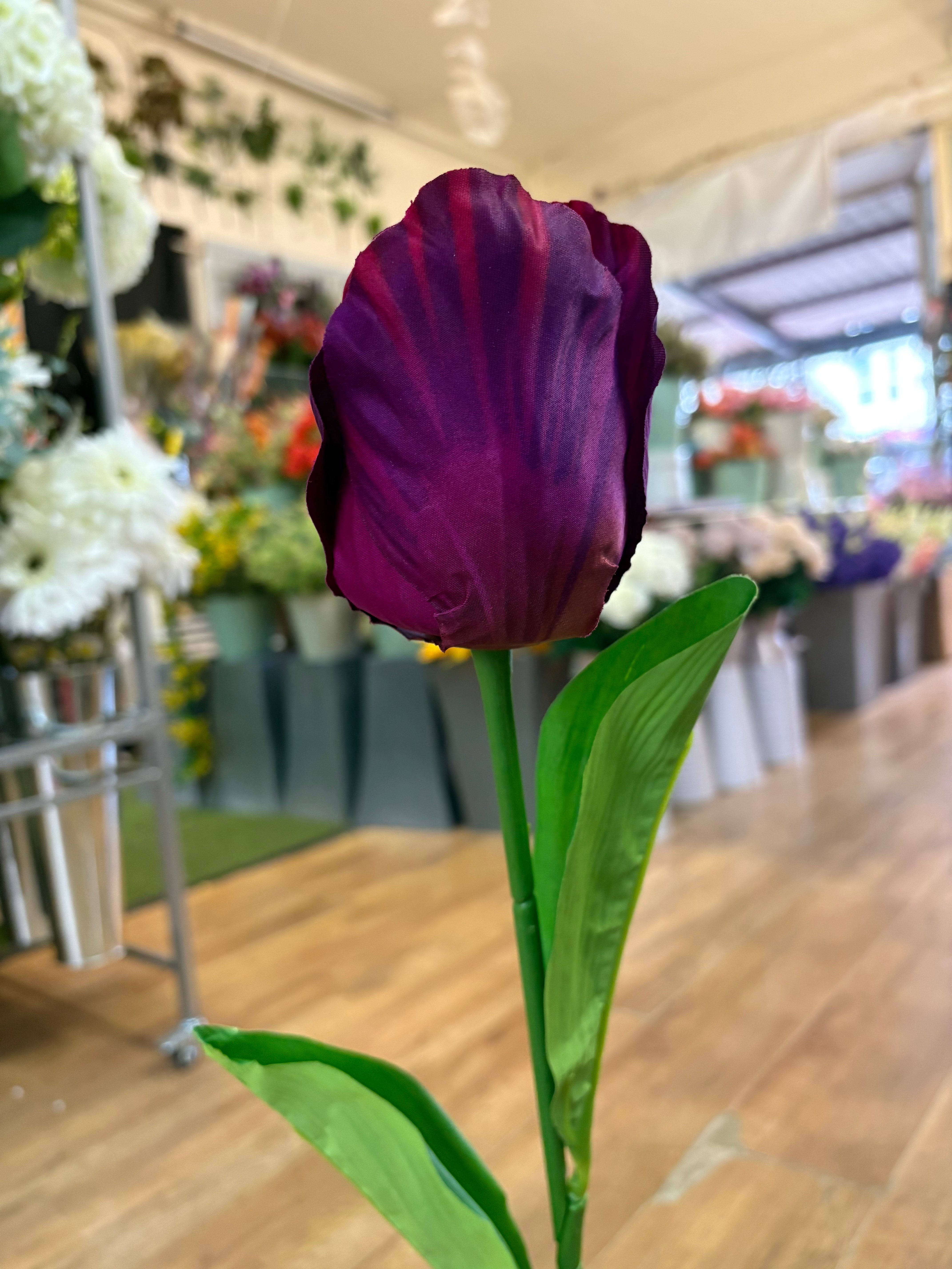 75cm Long stem single large tulip - 6 colours available