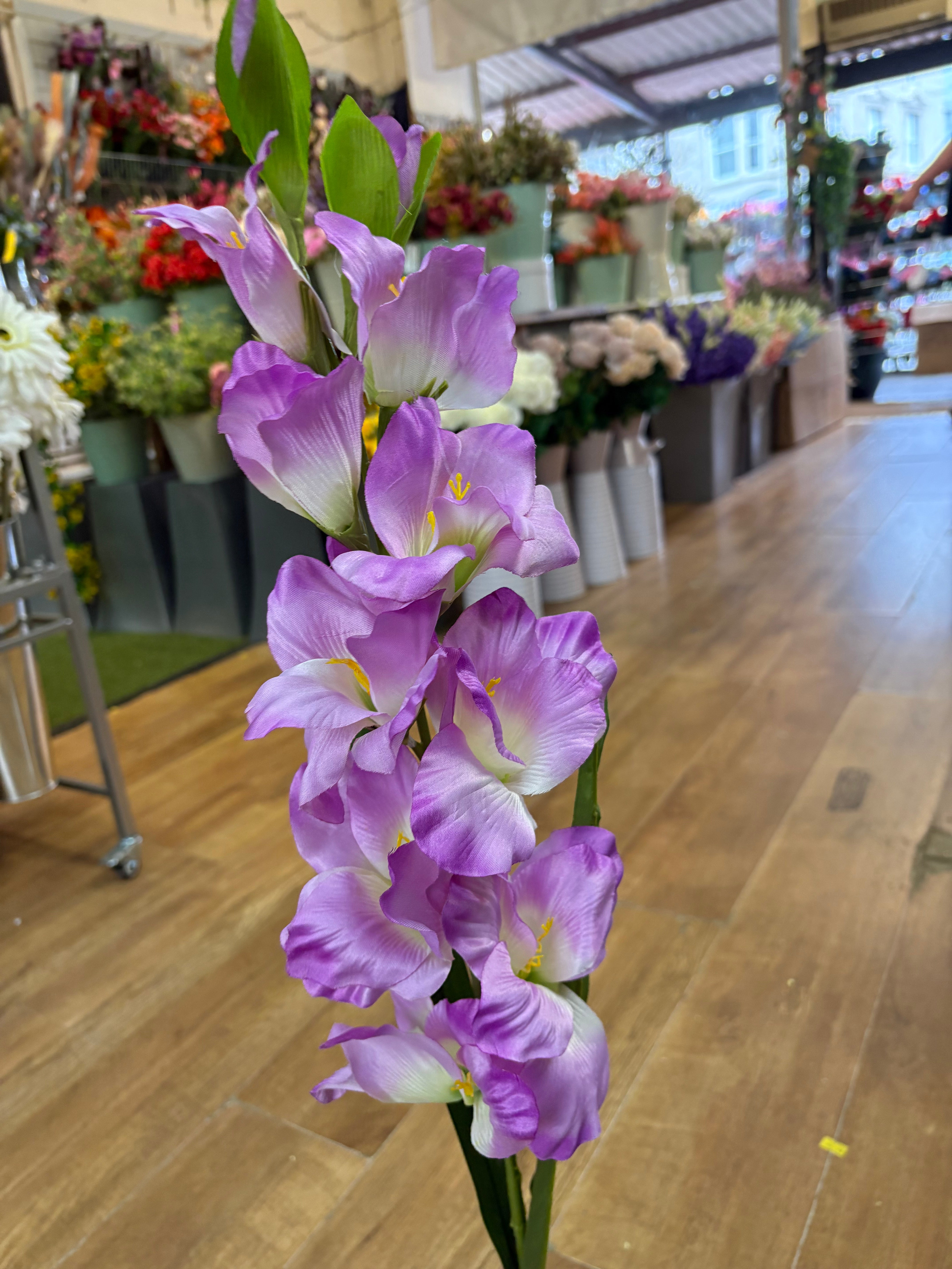 83cm Long stem lilac gladioli