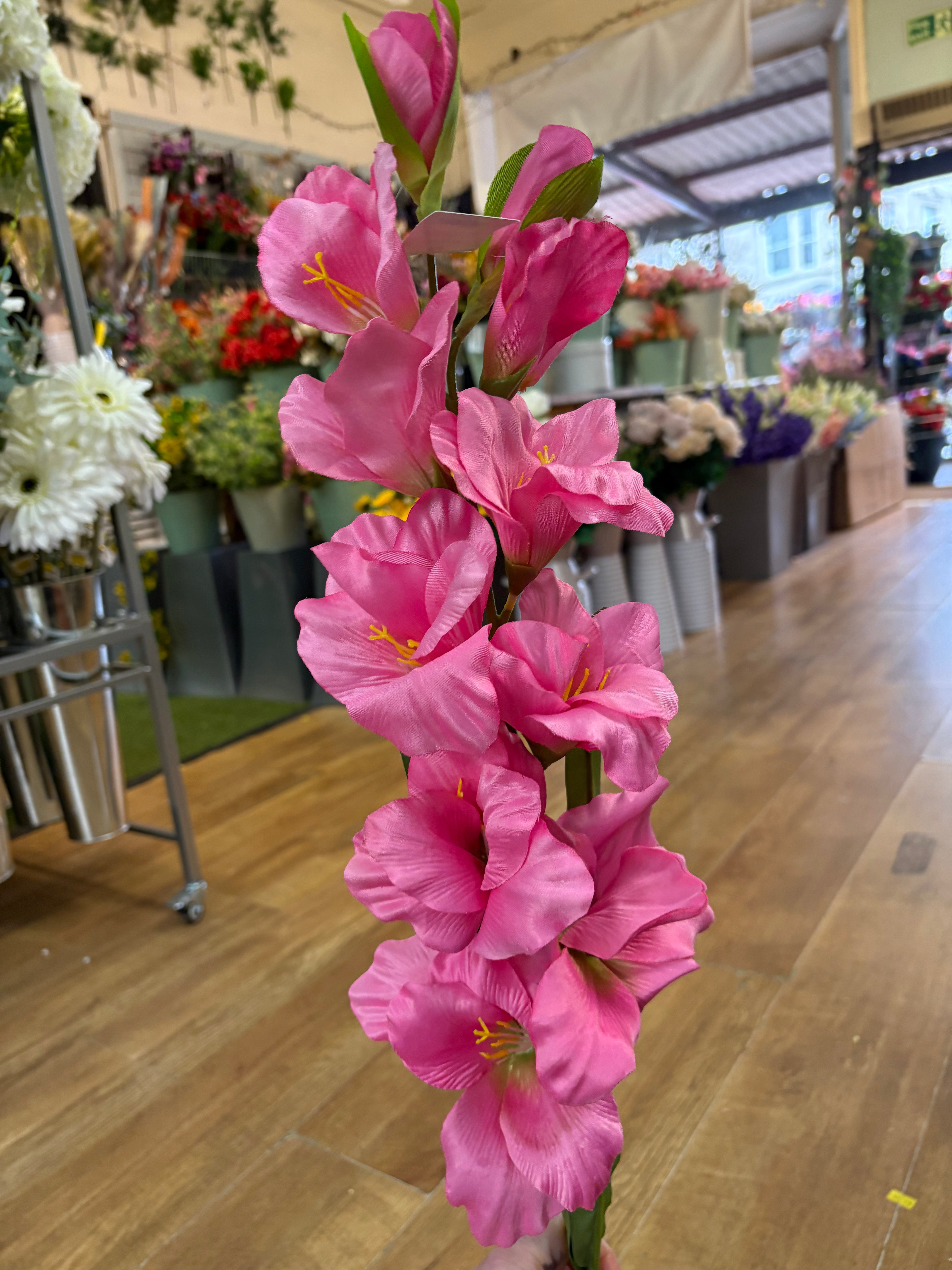 83cm Long stem pink gladioli