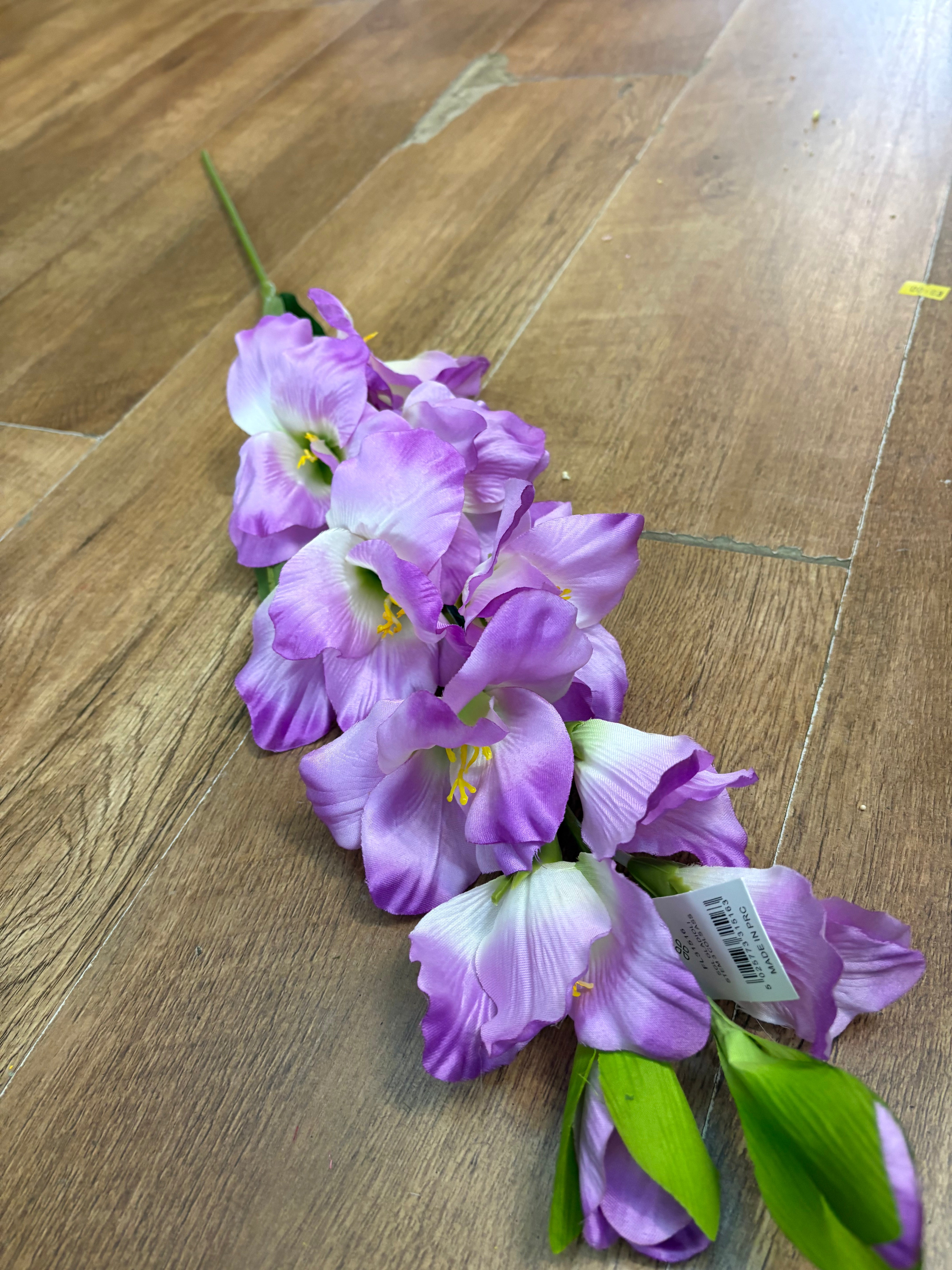 83cm Long stem lilac gladioli