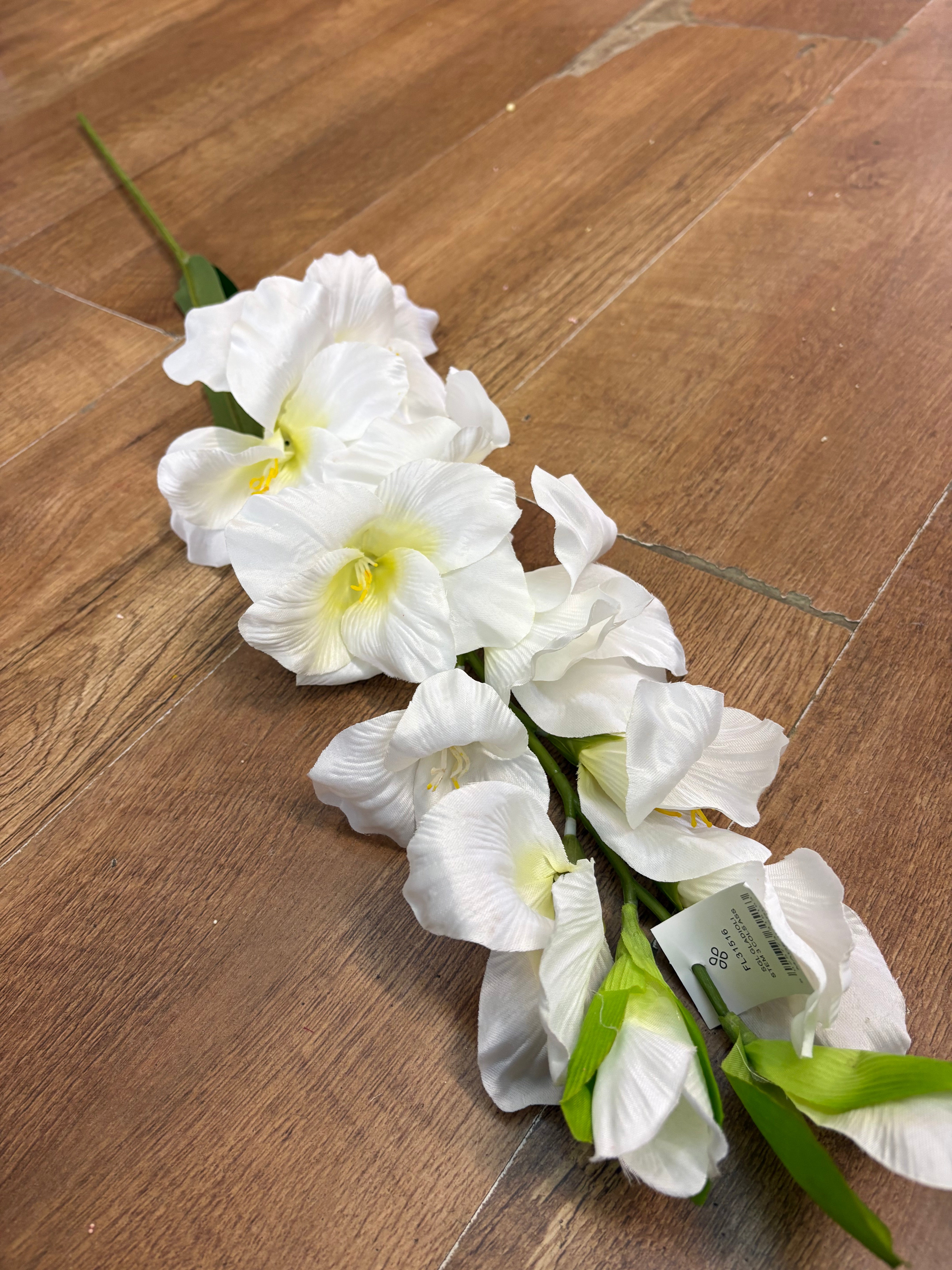 83cm Long stem ivory gladioli