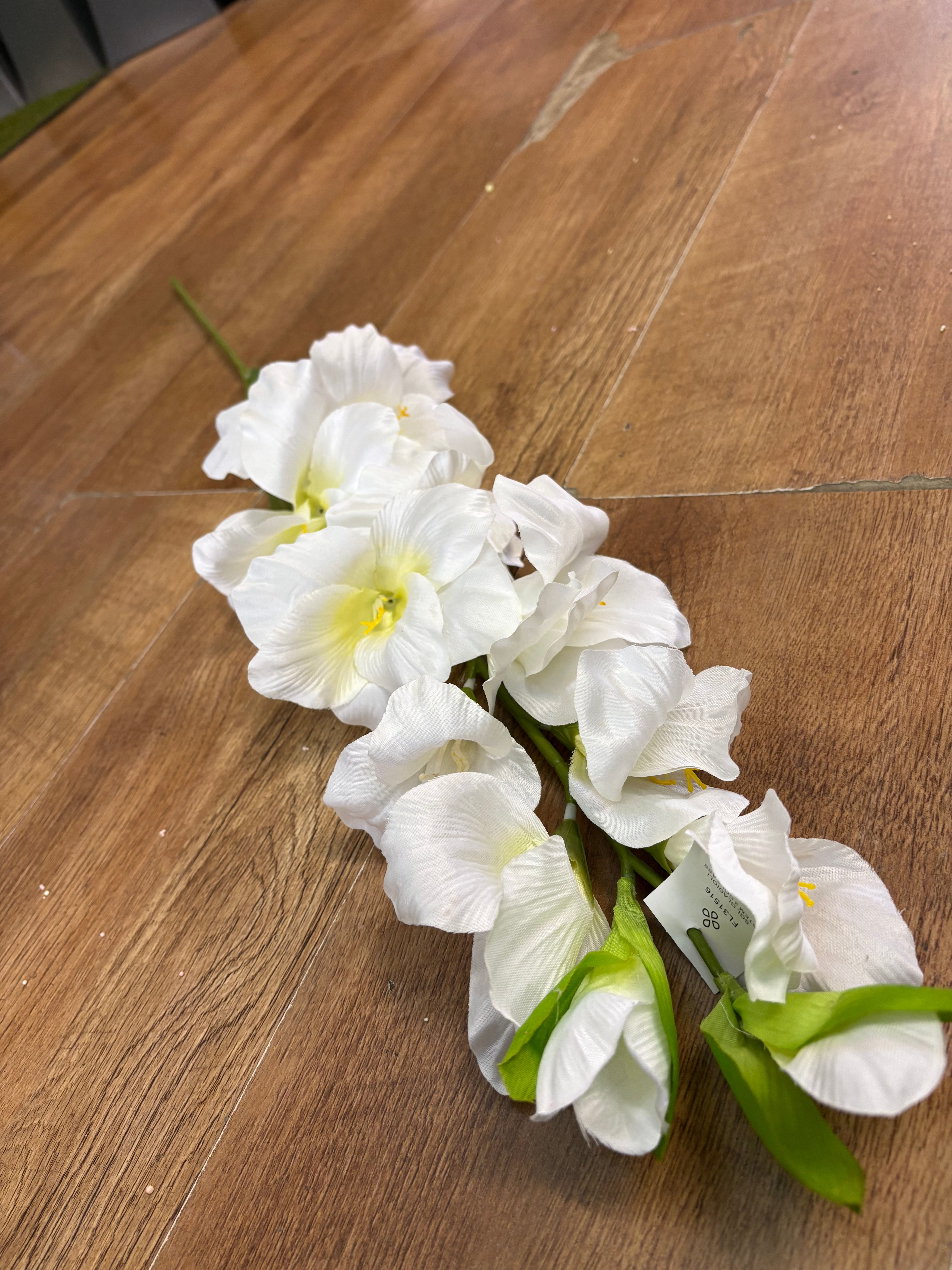 83cm Long stem ivory gladioli