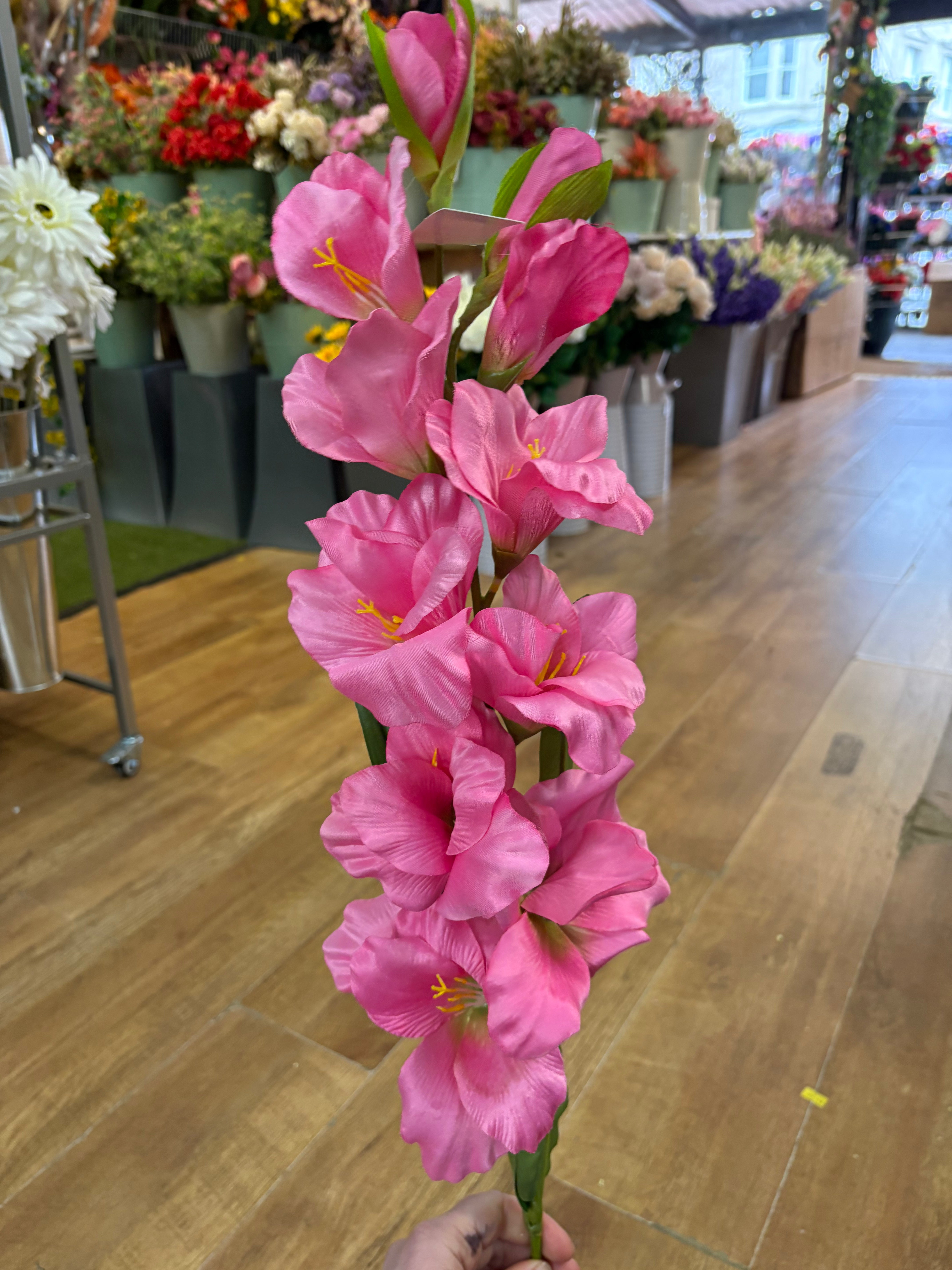 83cm Long stem pink gladioli