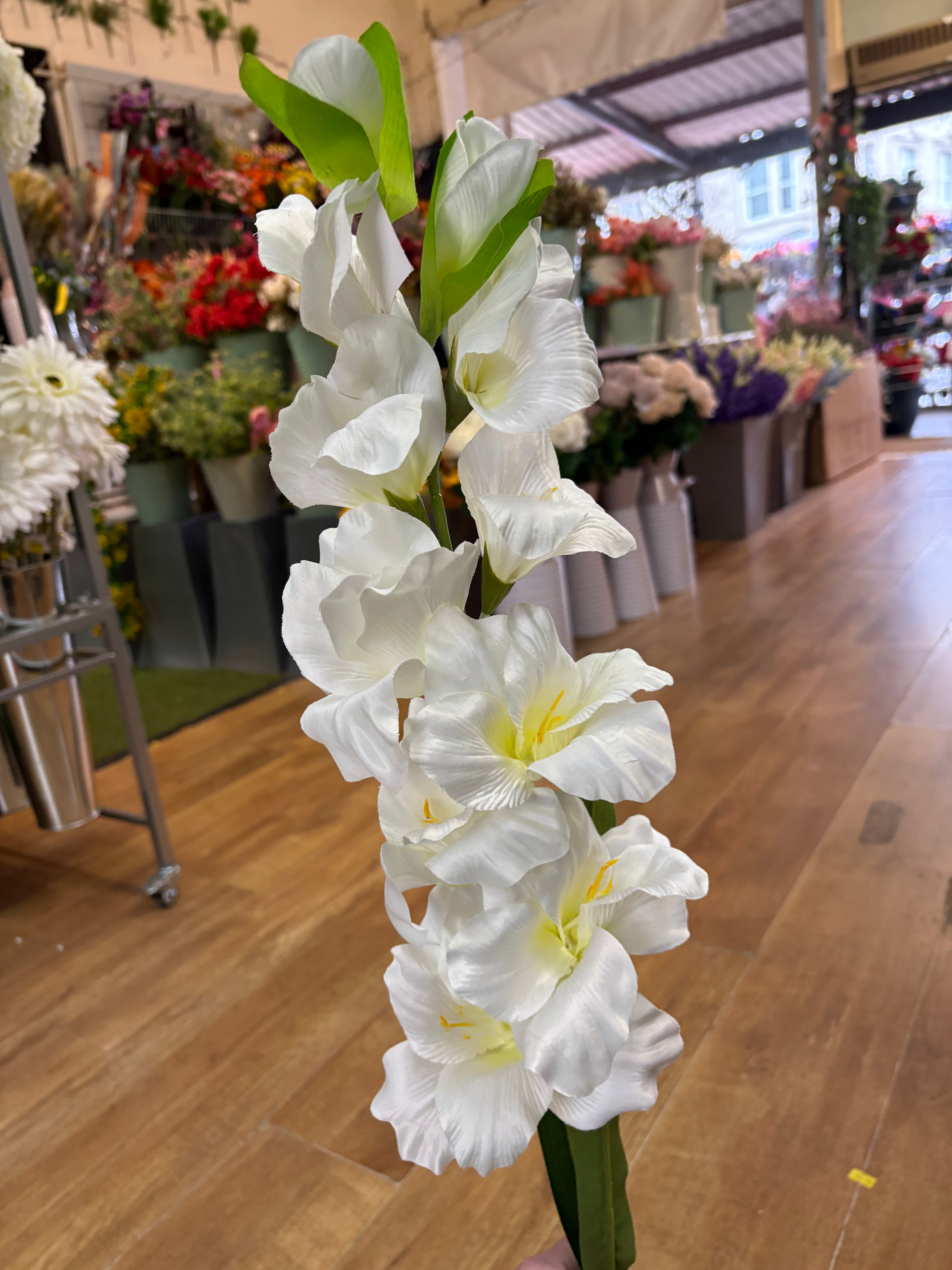 83cm Long stem ivory gladioli