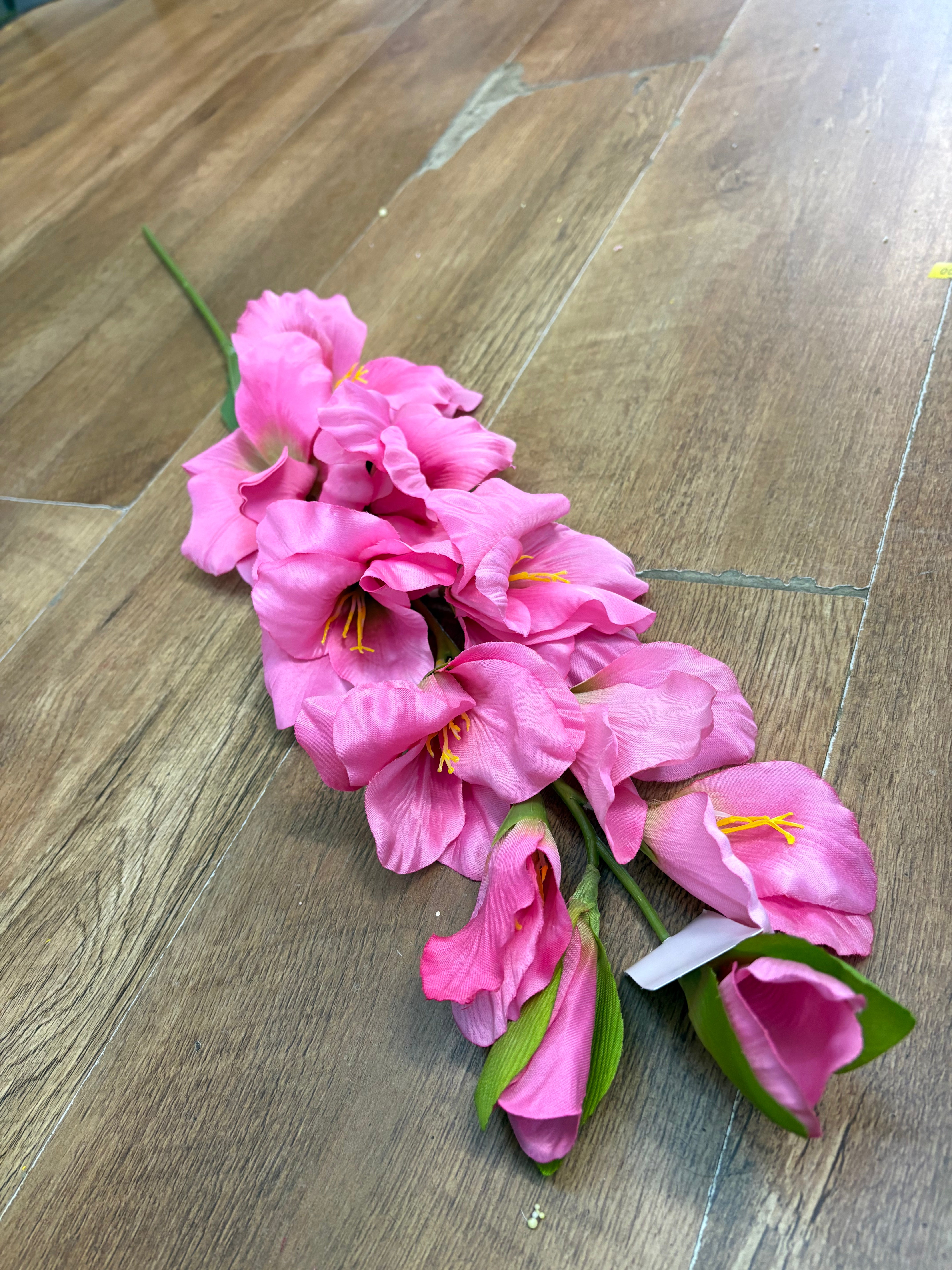83cm Long stem pink gladioli