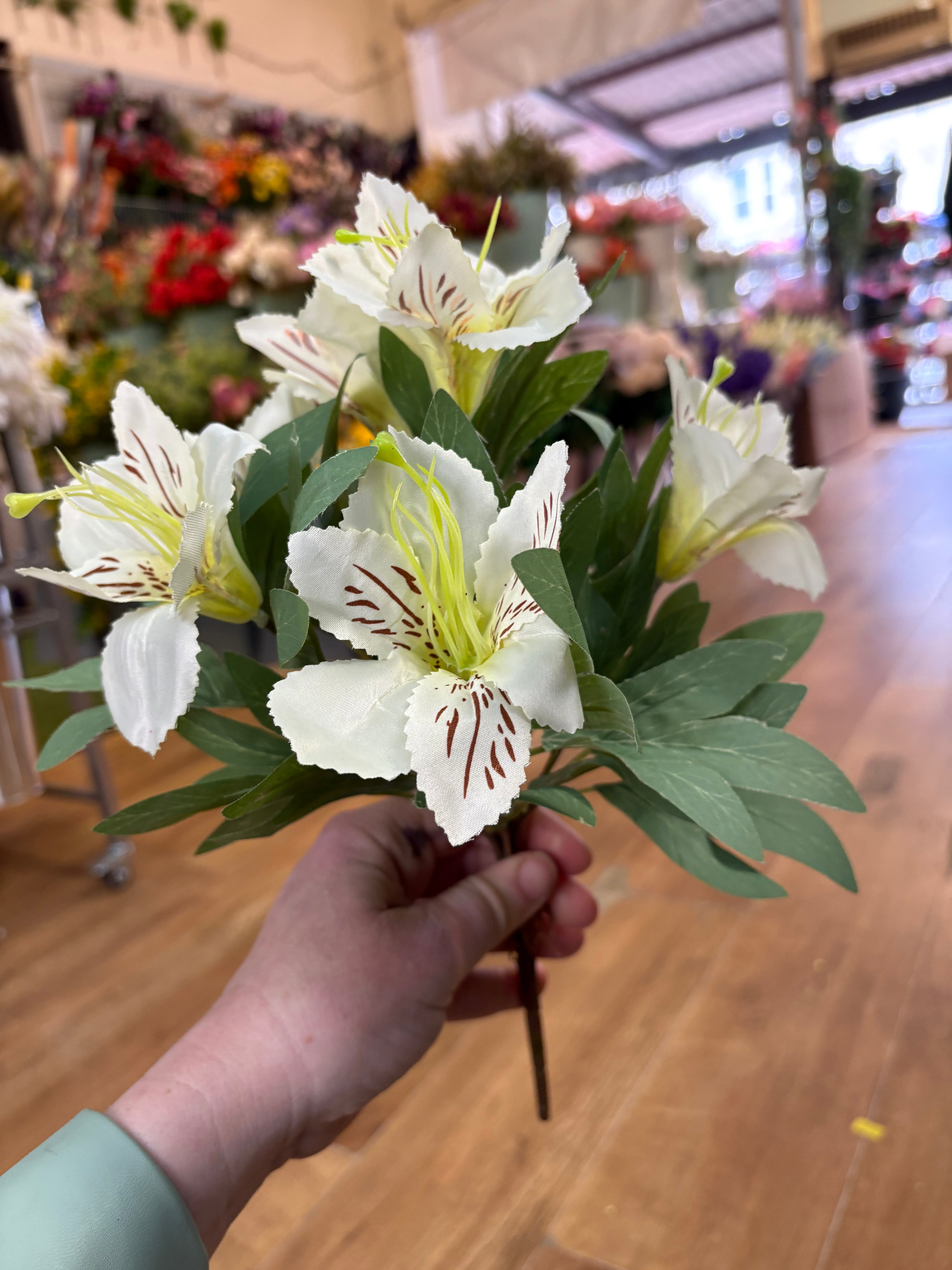 Cream tiger lily and foliage bush
