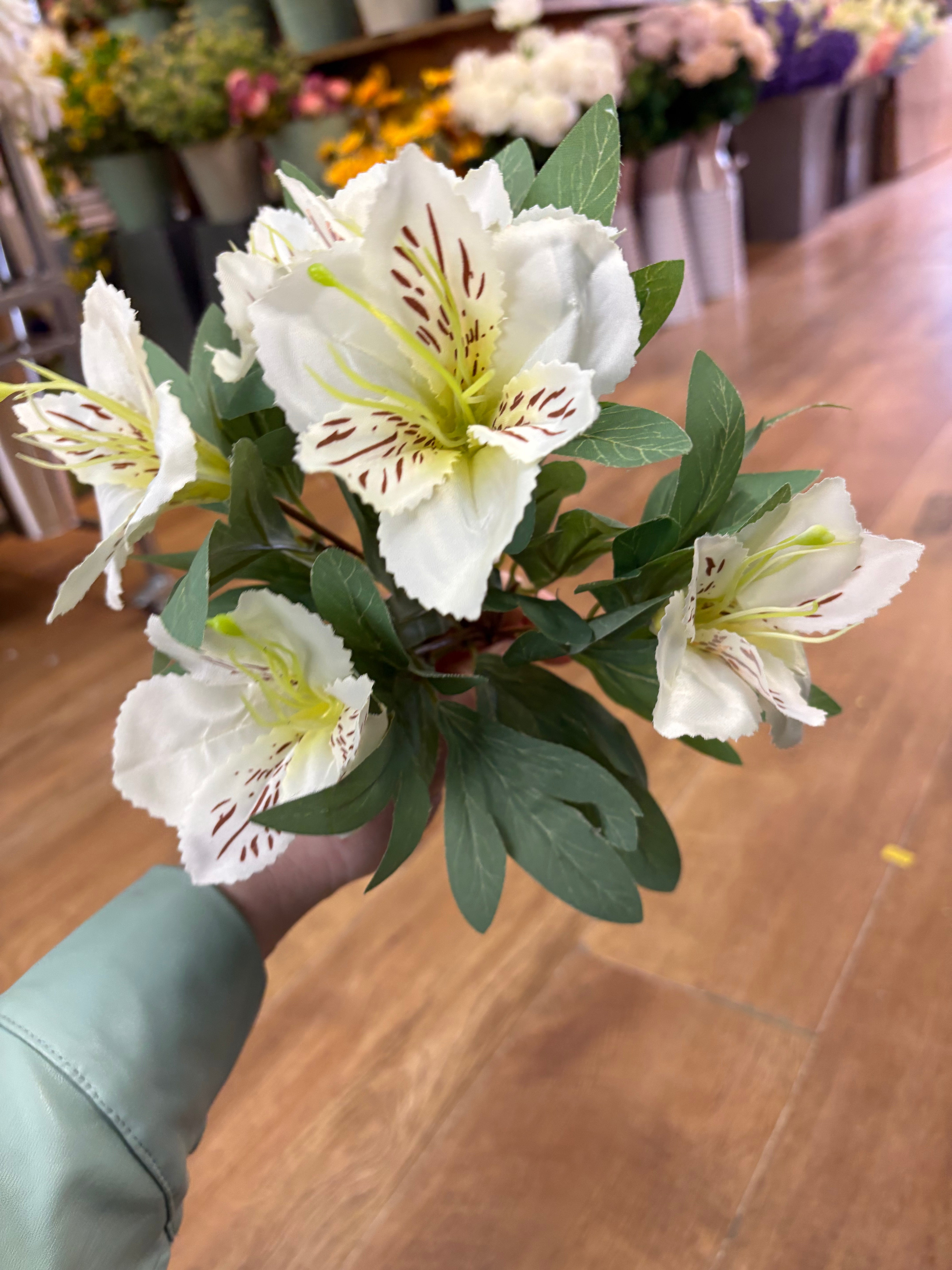 Cream tiger lily and foliage bush
