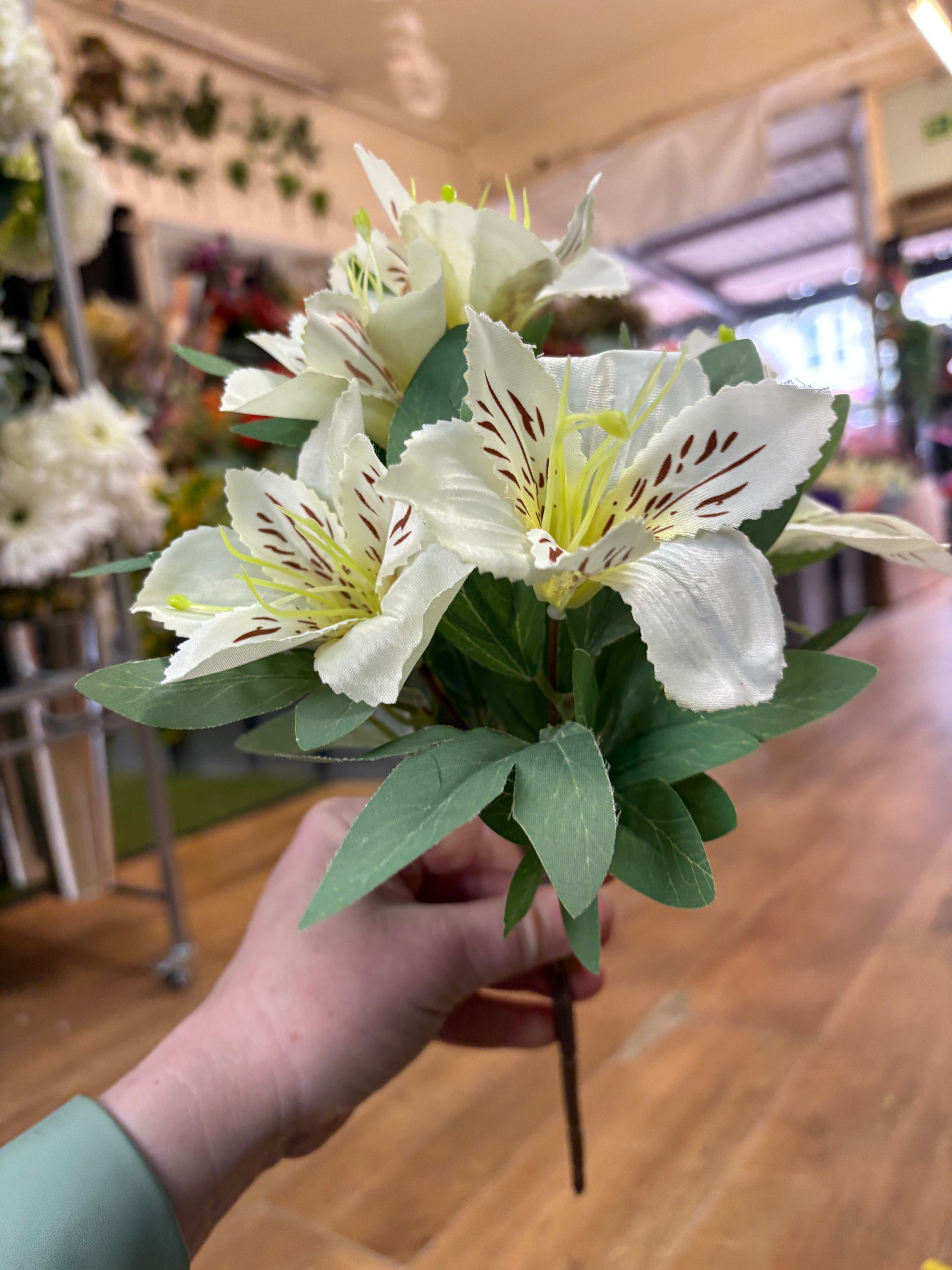 Cream tiger lily and foliage bush