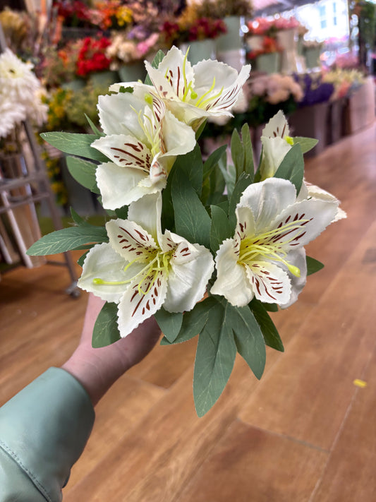 Cream tiger lily and foliage bush