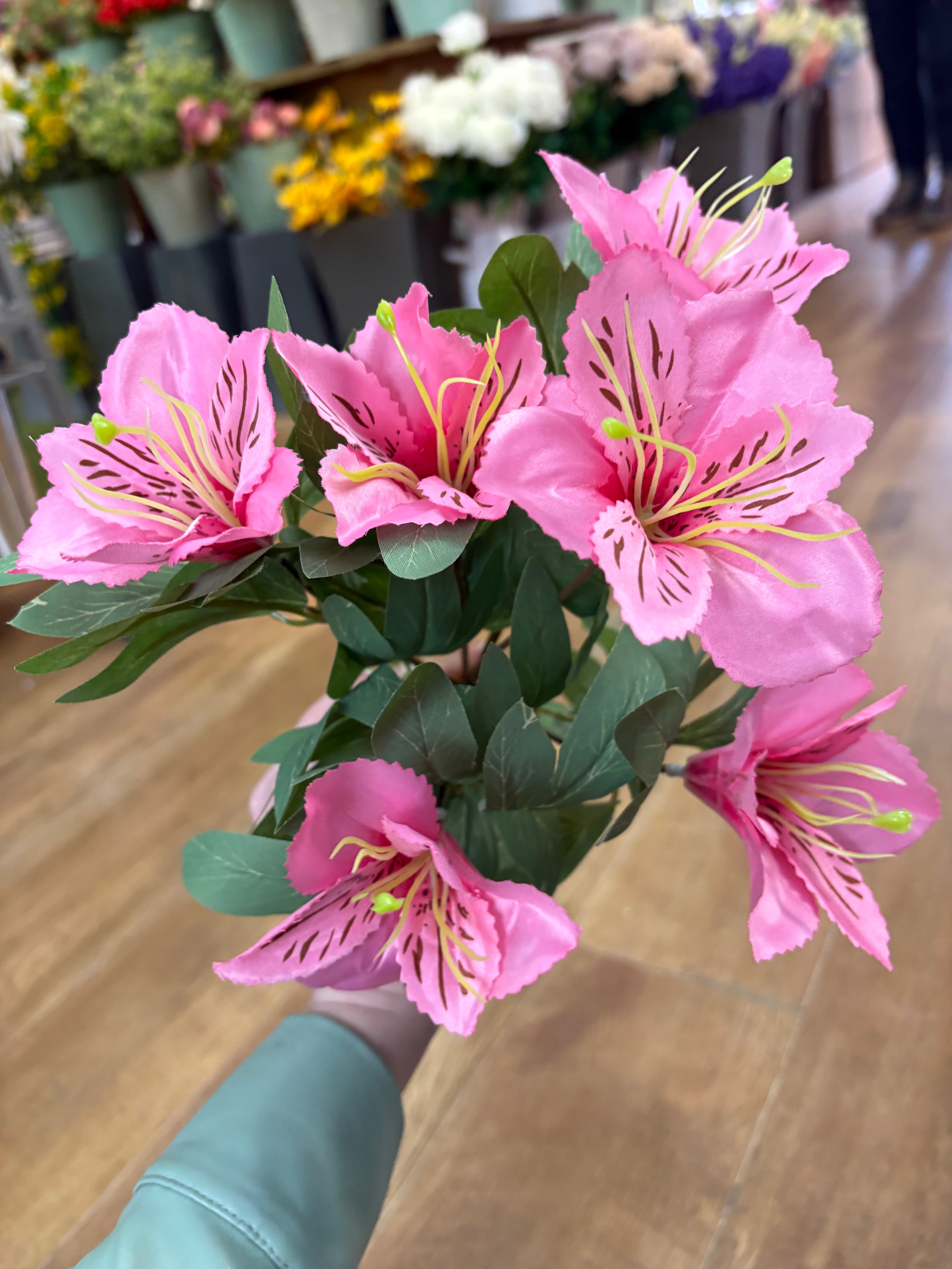 Pink tiger lily and foliage bush