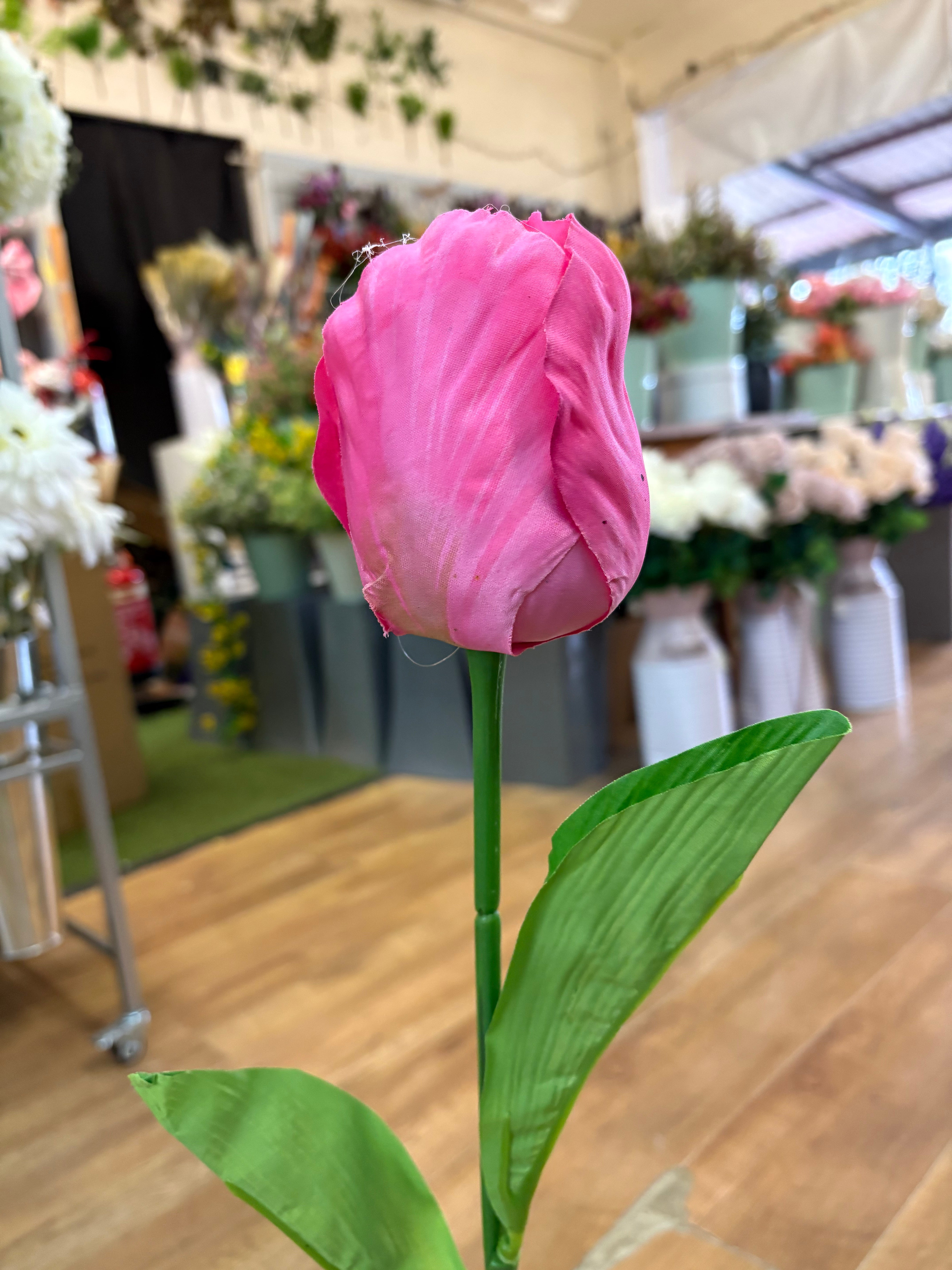75cm Long stem single large tulip - 6 colours available