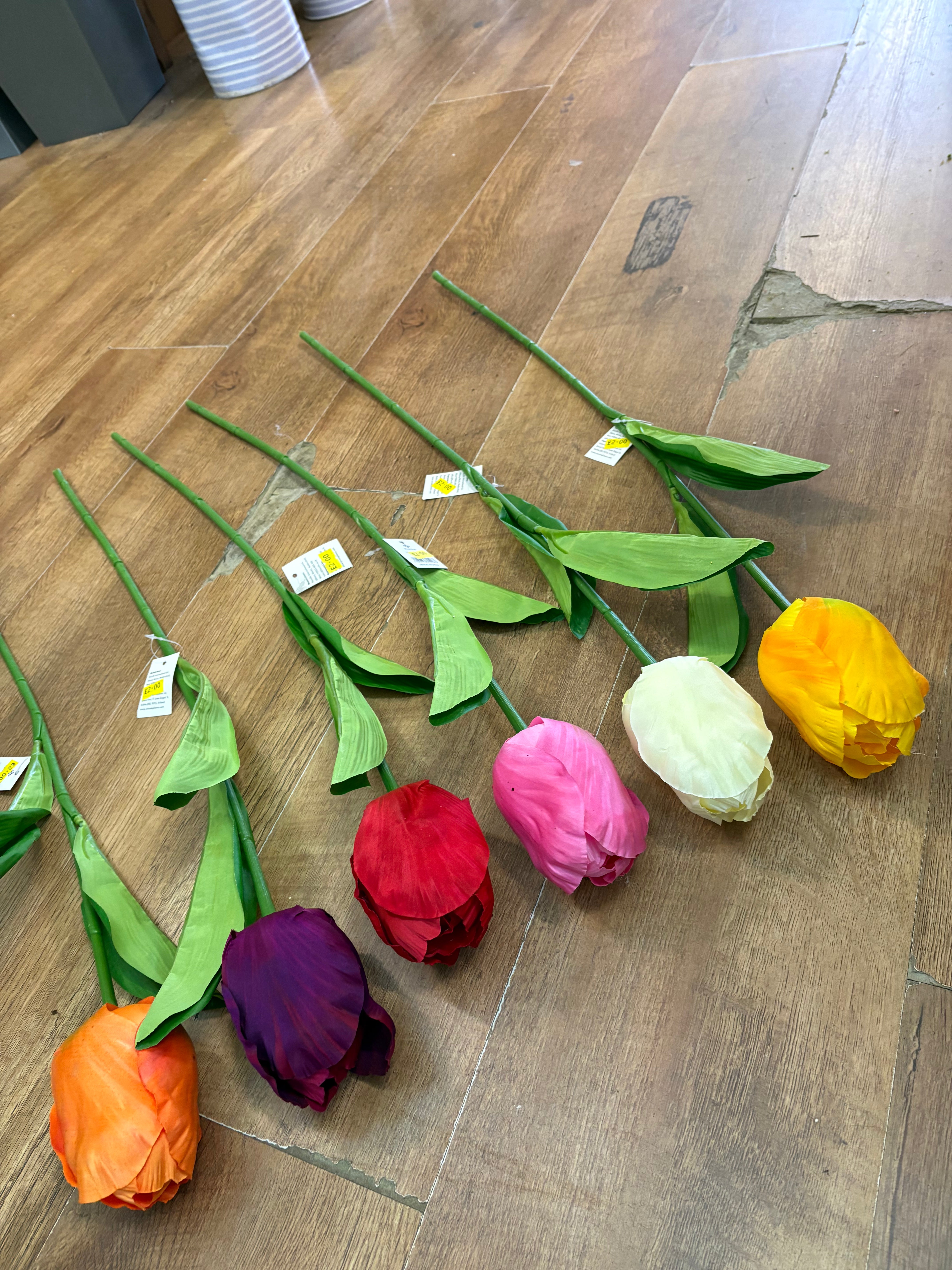 75cm Long stem single large tulip - 6 colours available