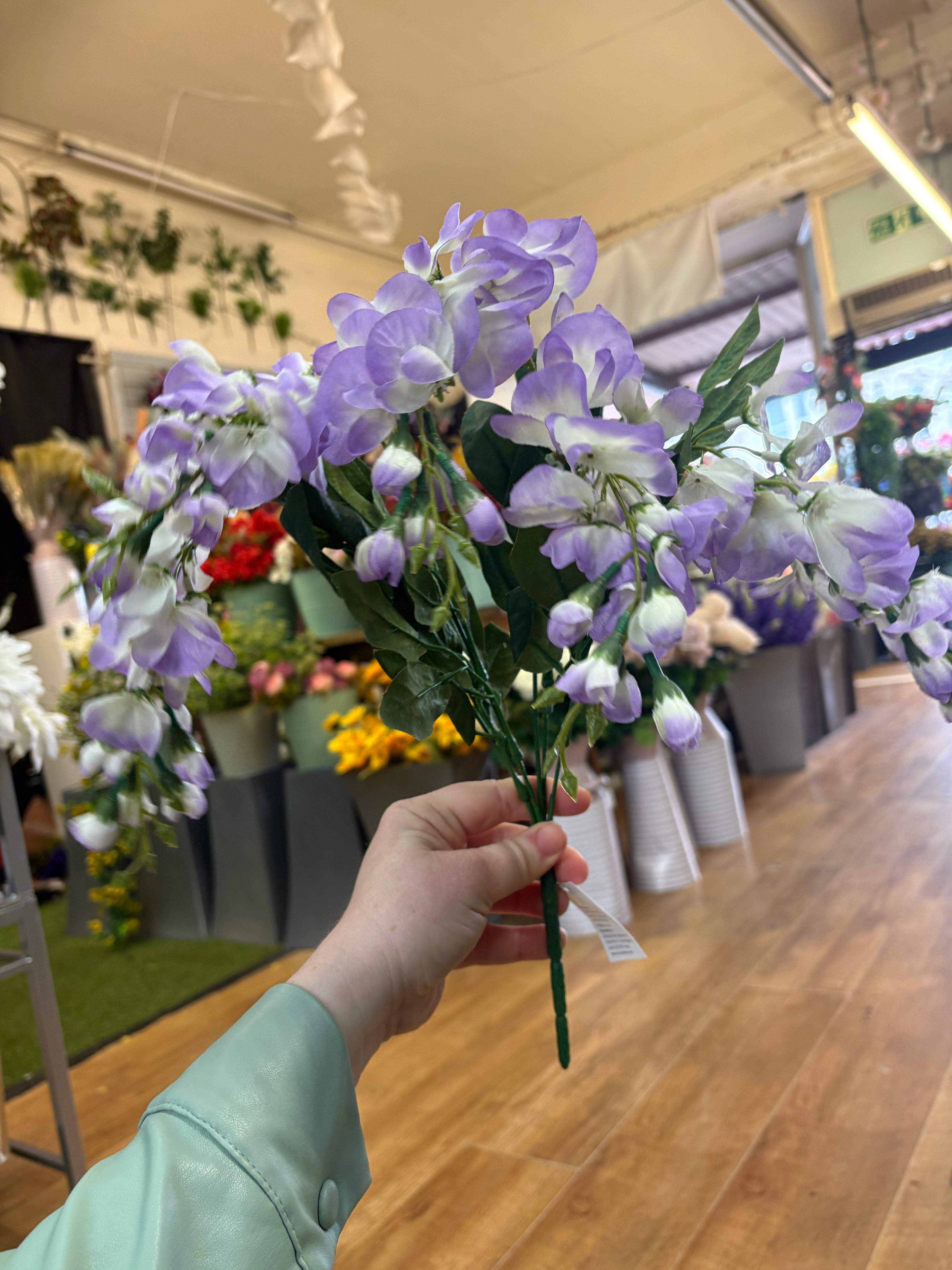 Short lilac wisteria bunch